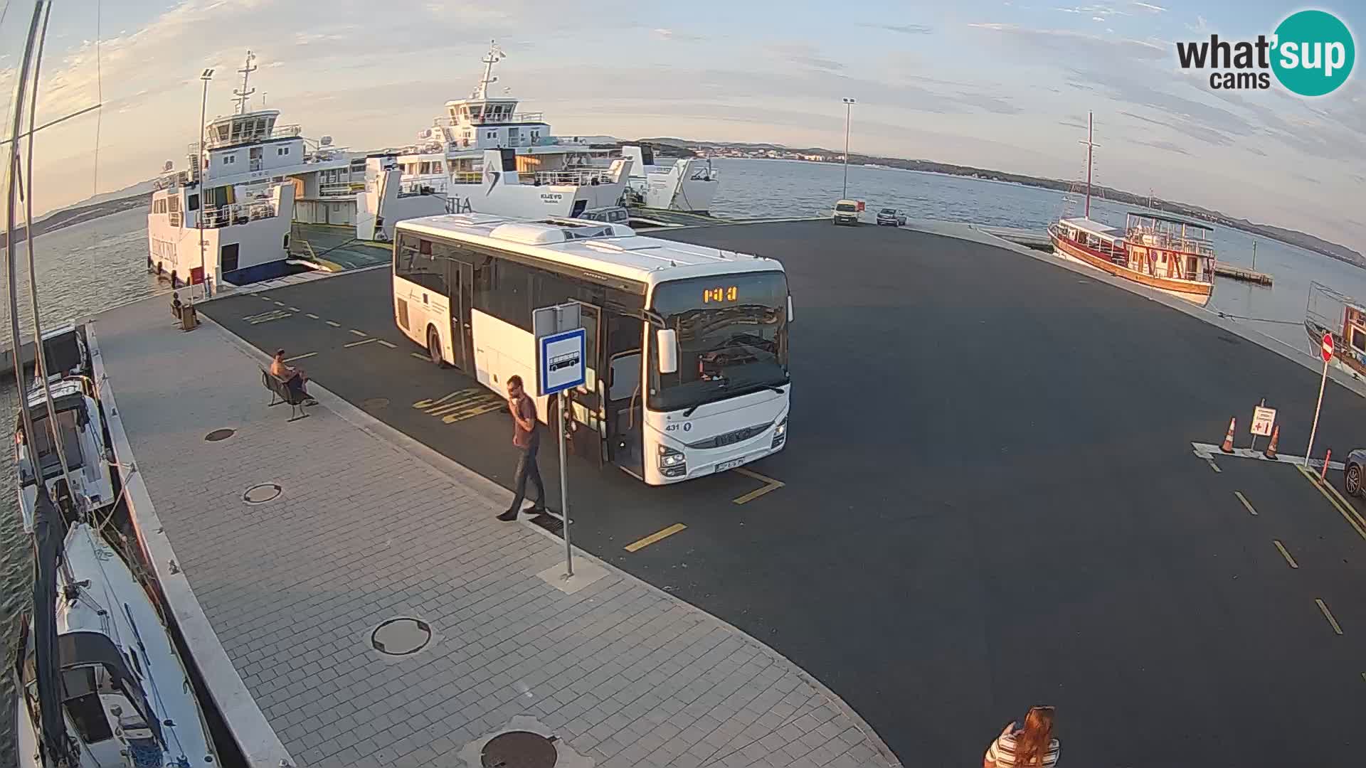 Tkon v živo – trajekt – Dalmacija – Hrvaška
