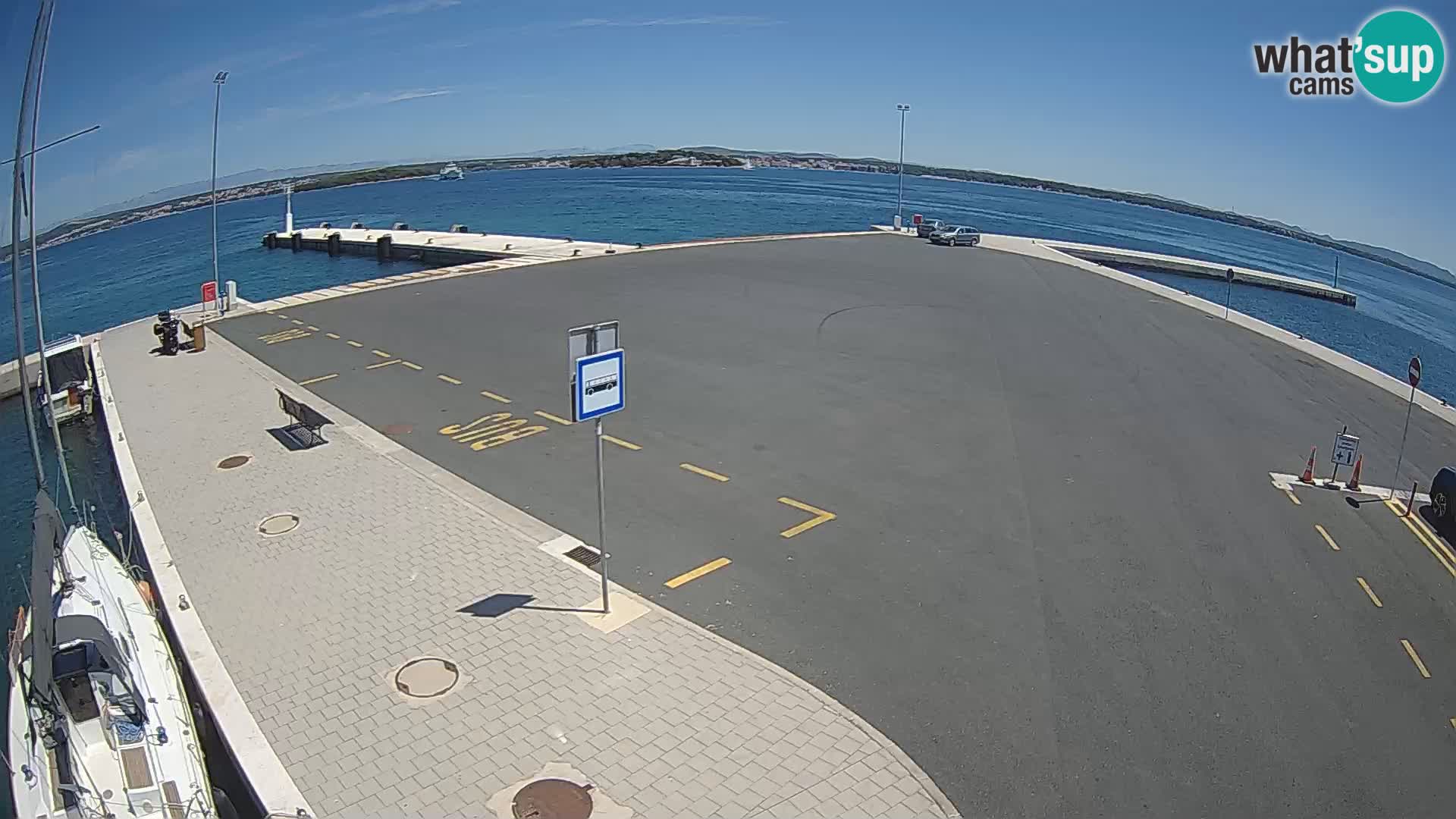 Tkon v živo – trajekt – Dalmacija – Hrvaška