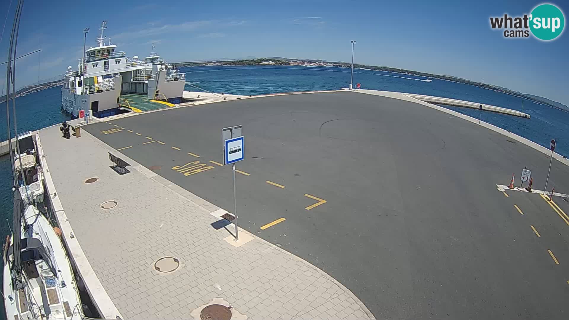 Tkon camera en vivo – Transportar – Dalmacia – Croacia
