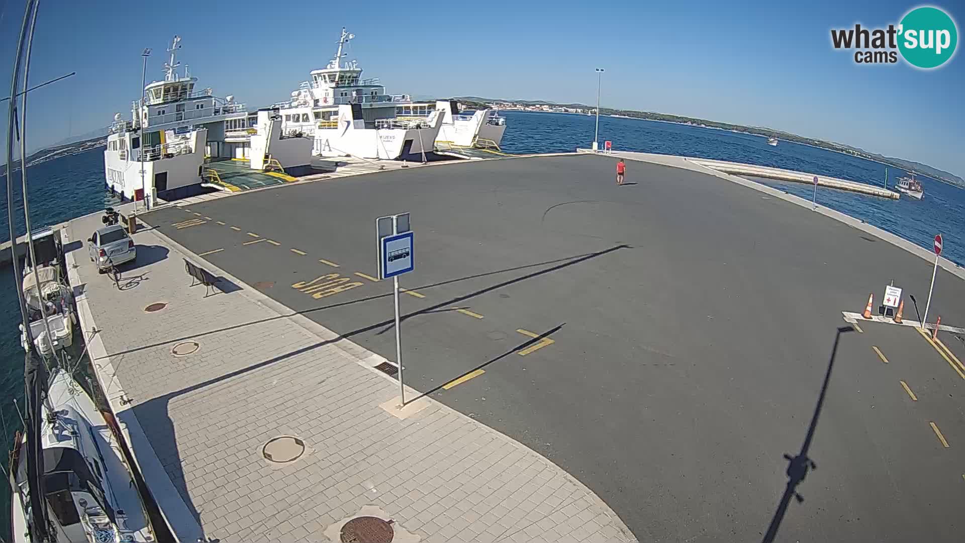 Tkon camera en vivo – Transportar – Dalmacia – Croacia