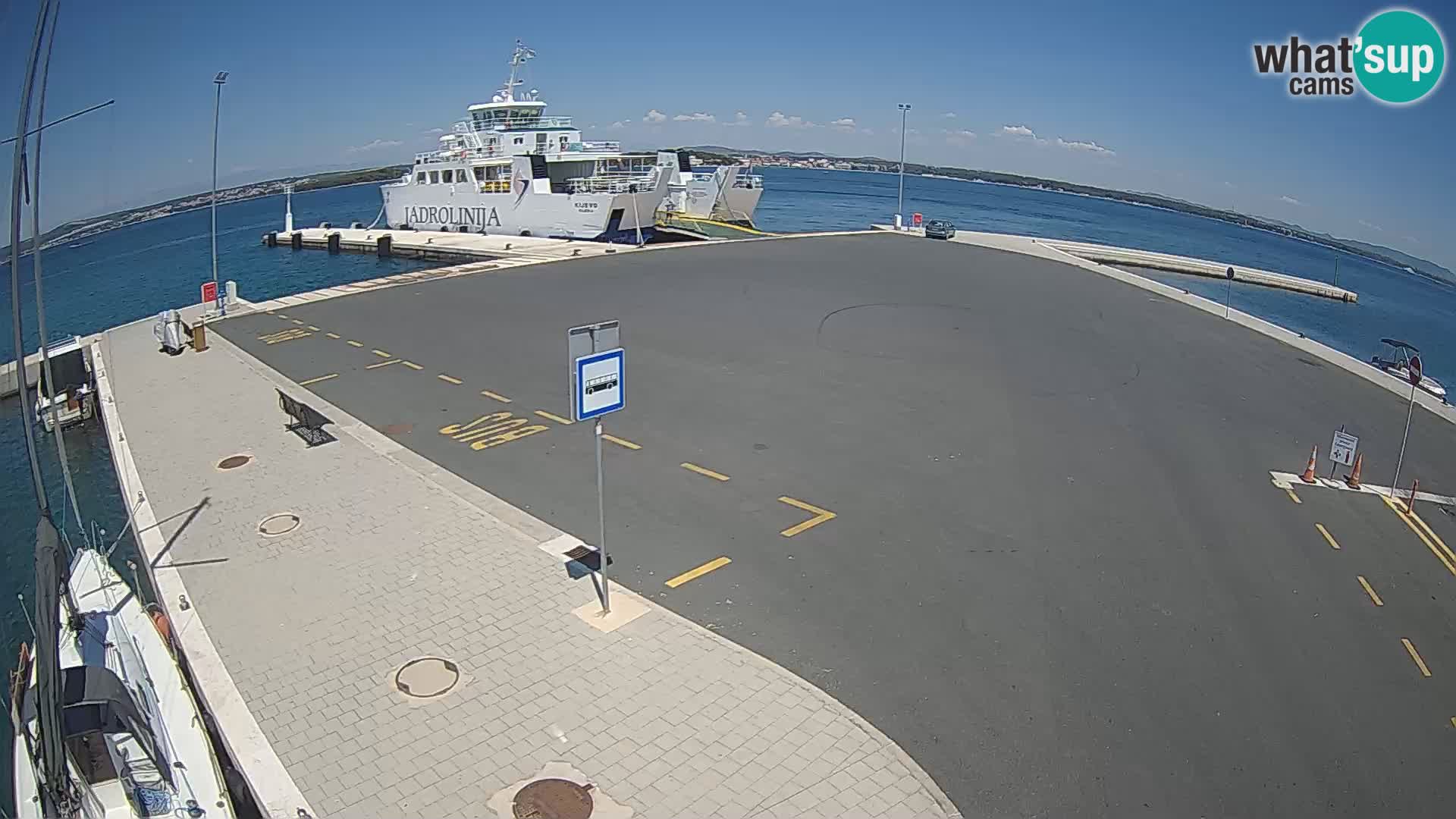 Tkon v živo – trajekt – Dalmacija – Hrvaška