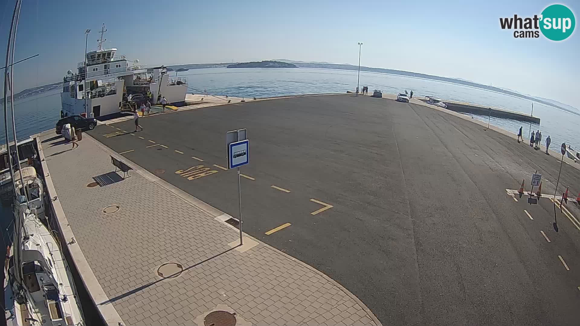 Tkon v živo – trajekt – Dalmacija – Hrvaška