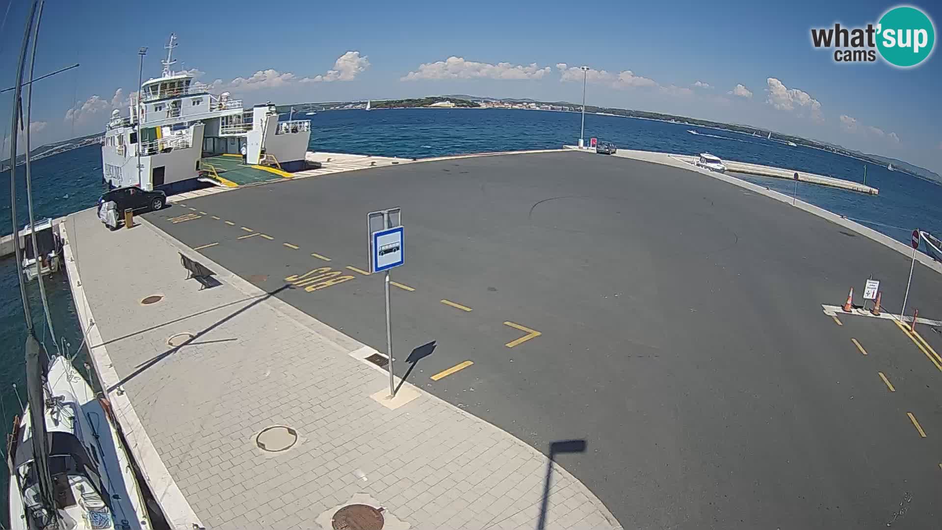 Tkon v živo – trajekt – Dalmacija – Hrvaška