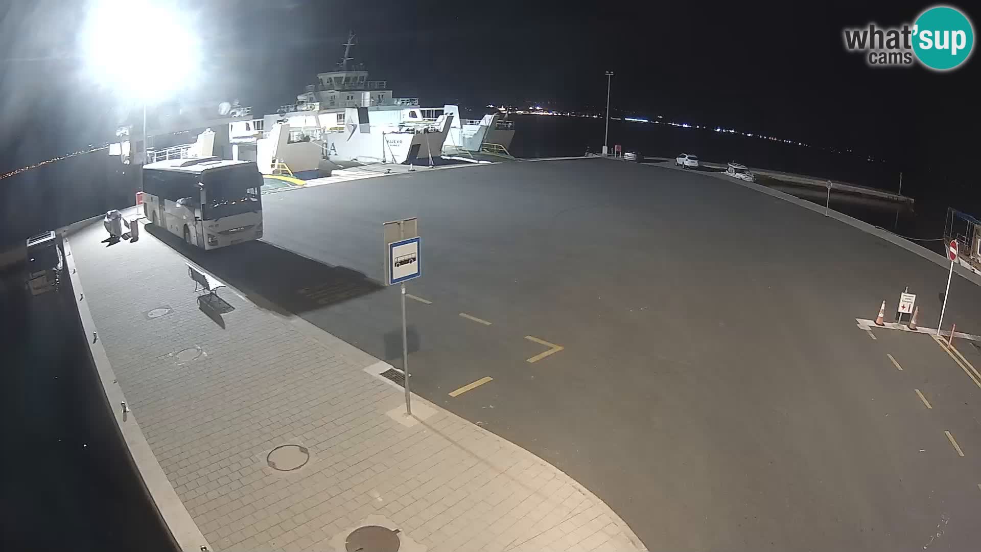 Tkon v živo – trajekt – Dalmacija – Hrvaška