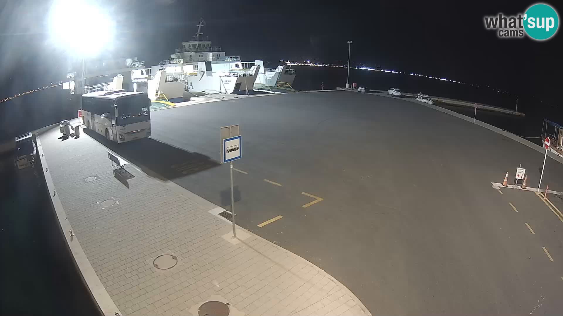 Tkon v živo – trajekt – Dalmacija – Hrvaška
