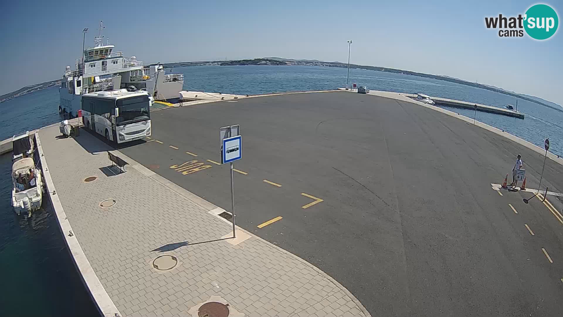 Tkon u živo – trajekt – Dalmacija