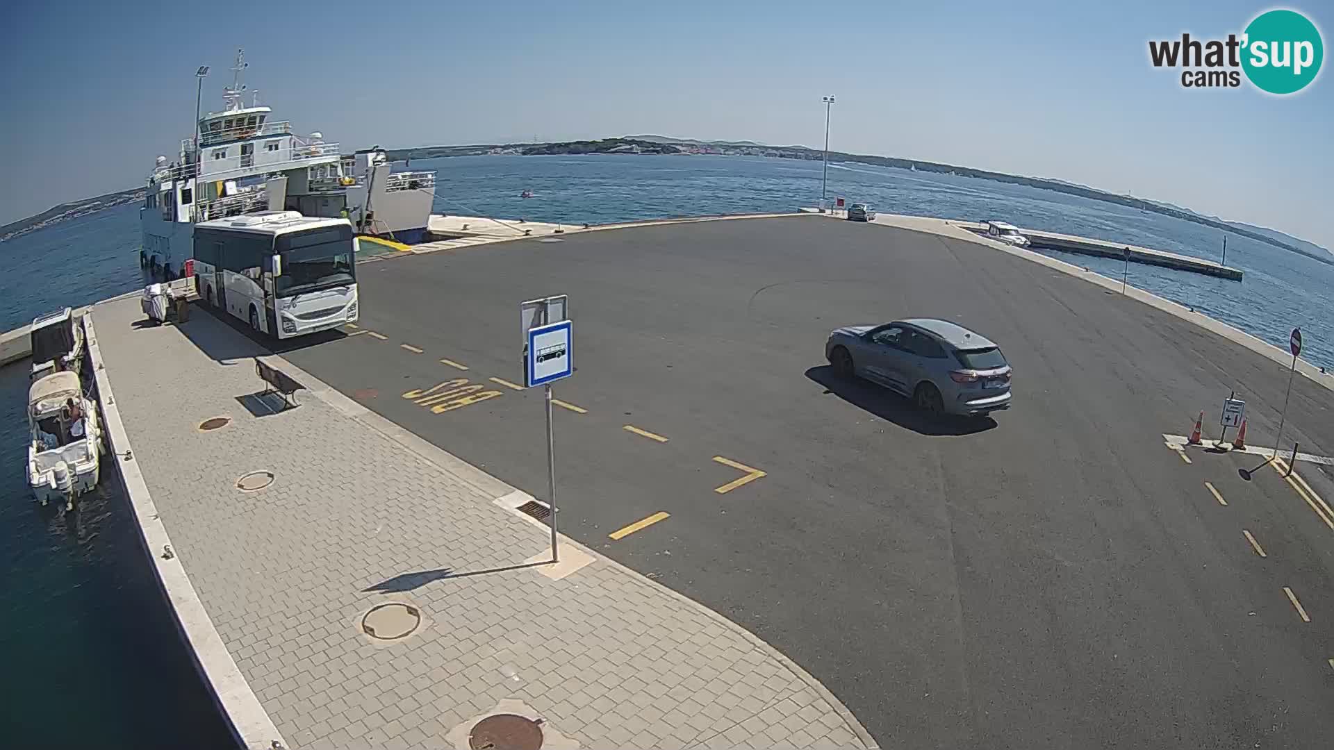 Tkon v živo – trajekt – Dalmacija – Hrvaška