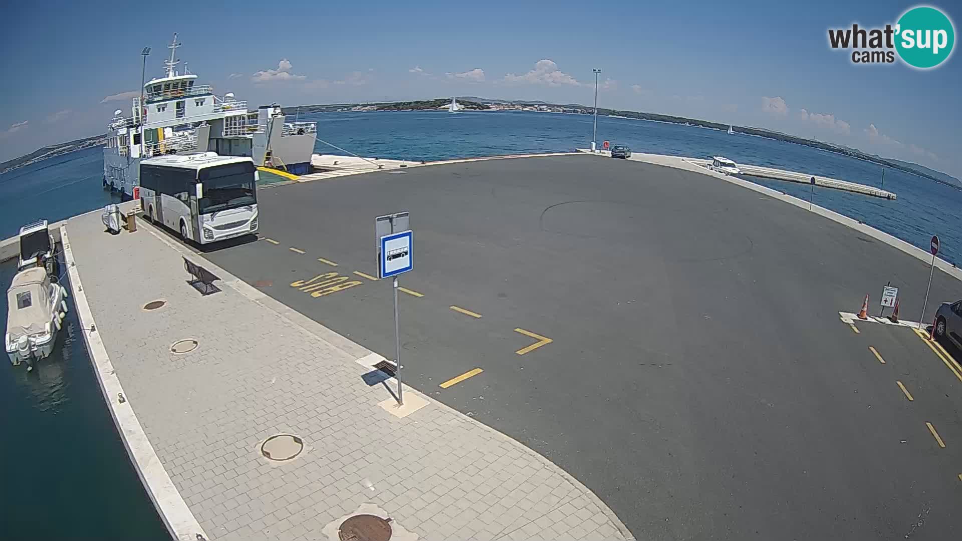 Tkon u živo – trajekt – Dalmacija