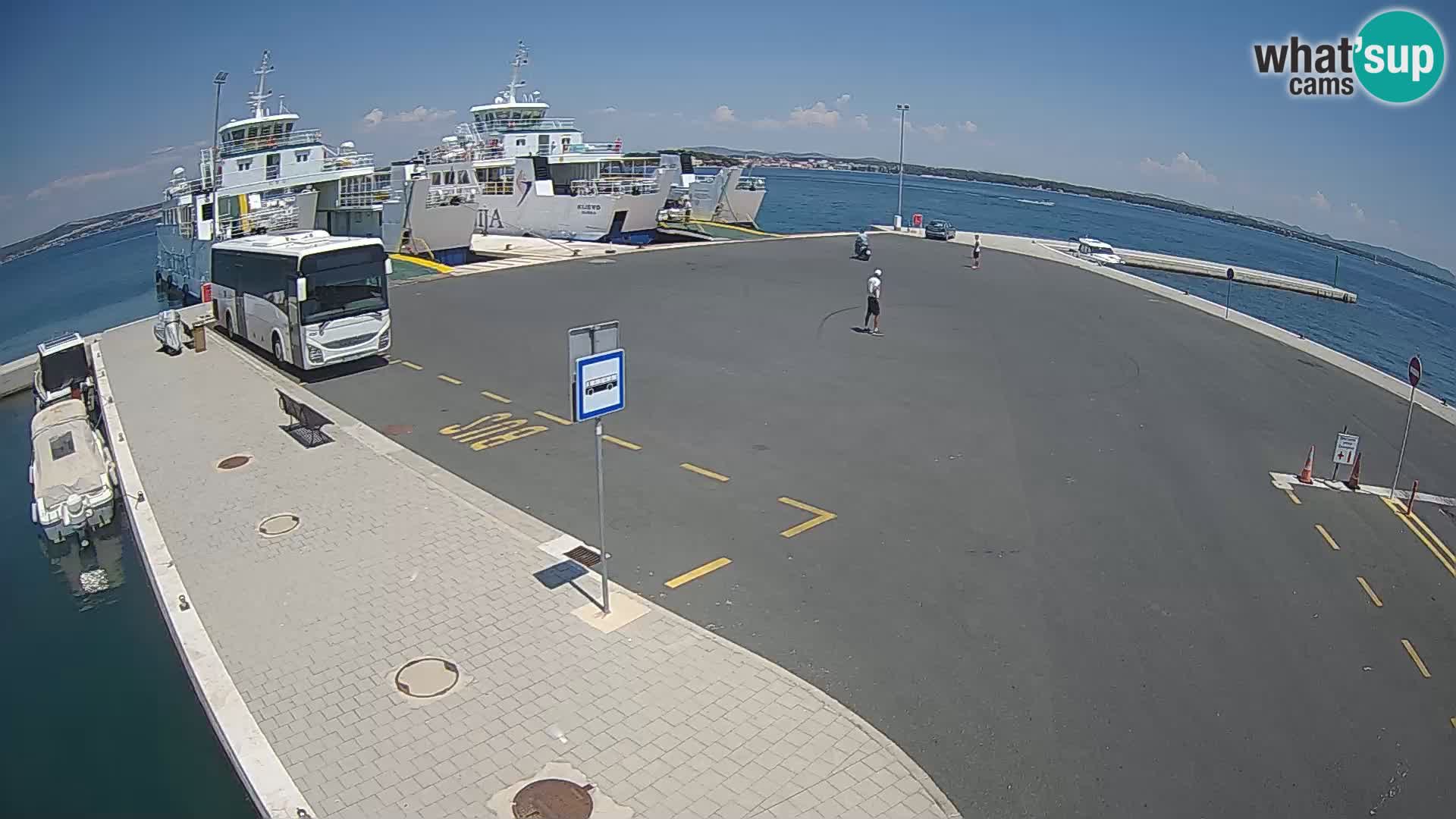 Tkon v živo – trajekt – Dalmacija – Hrvaška