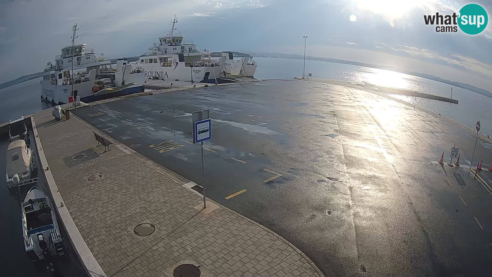 Tkon v živo – trajekt – Dalmacija – Hrvaška