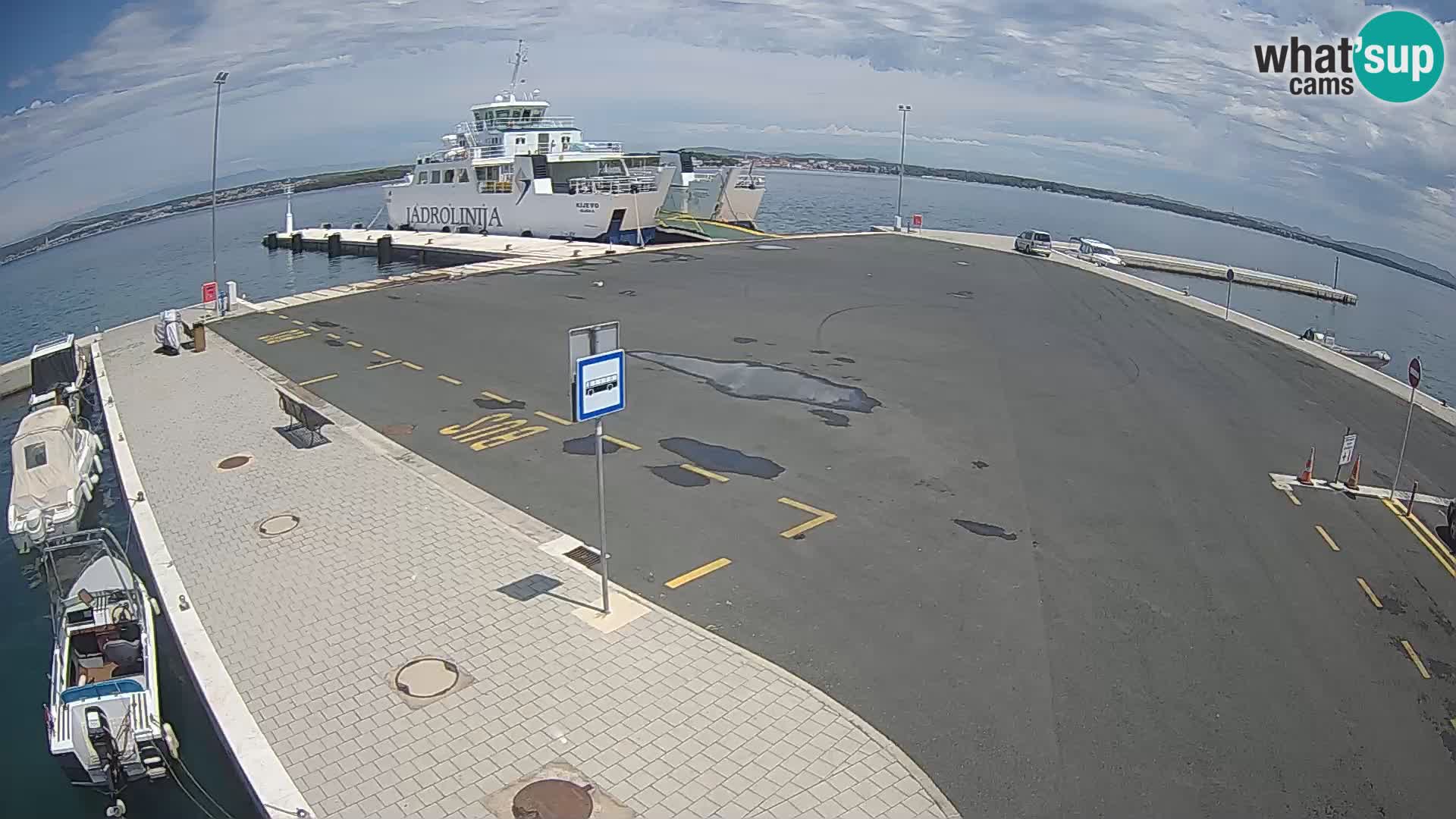 Tkon v živo – trajekt – Dalmacija – Hrvaška