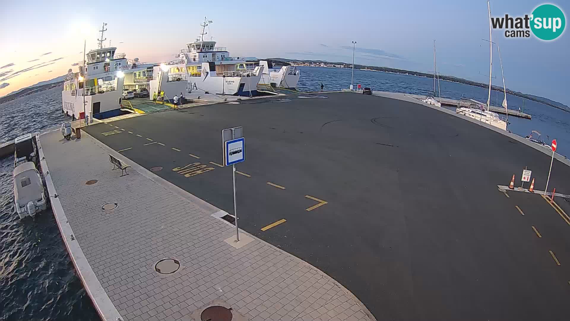 Tkon v živo – trajekt – Dalmacija – Hrvaška
