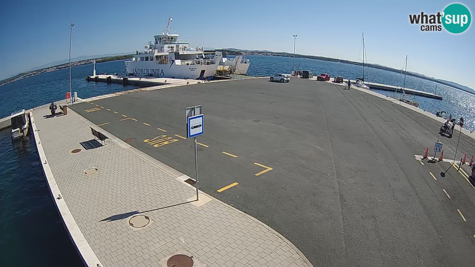 Tkon v živo – trajekt – Dalmacija – Hrvaška