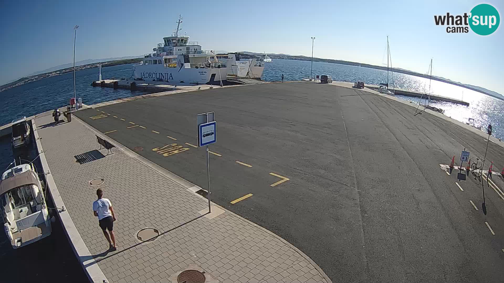 Tkon u živo – trajekt – Dalmacija