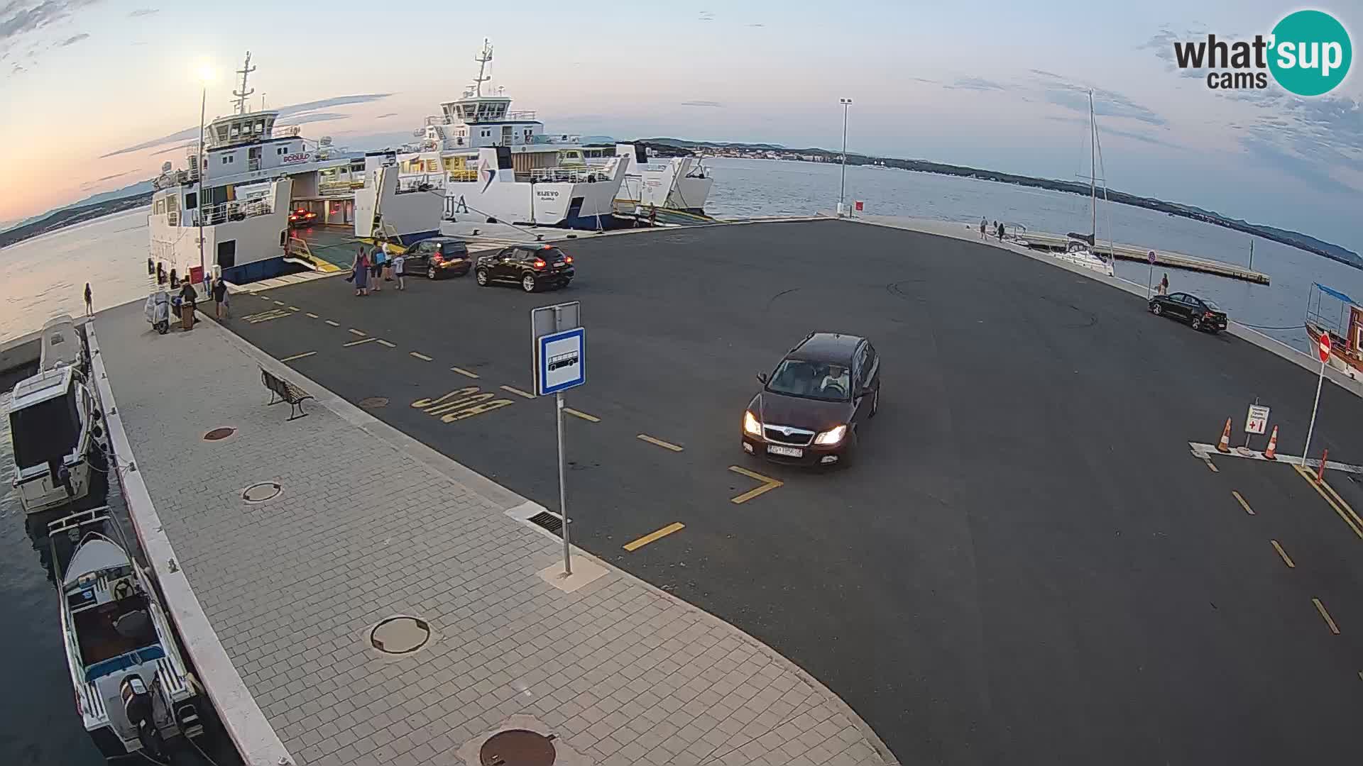 Tkon v živo – trajekt – Dalmacija – Hrvaška
