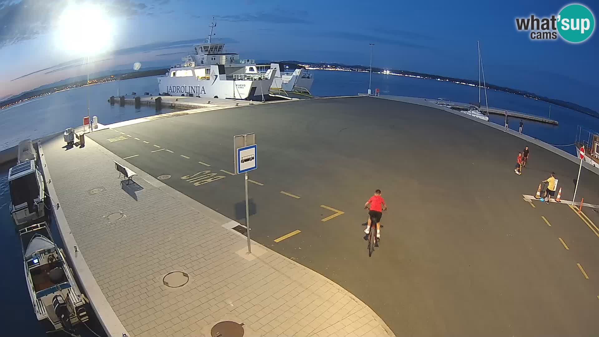 Tkon v živo – trajekt – Dalmacija – Hrvaška