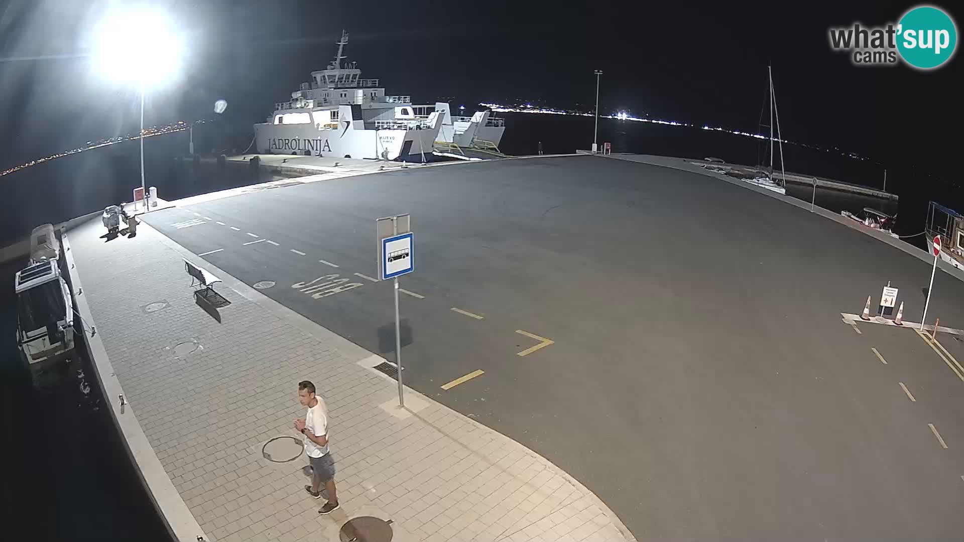 Tkon v živo – trajekt – Dalmacija – Hrvaška