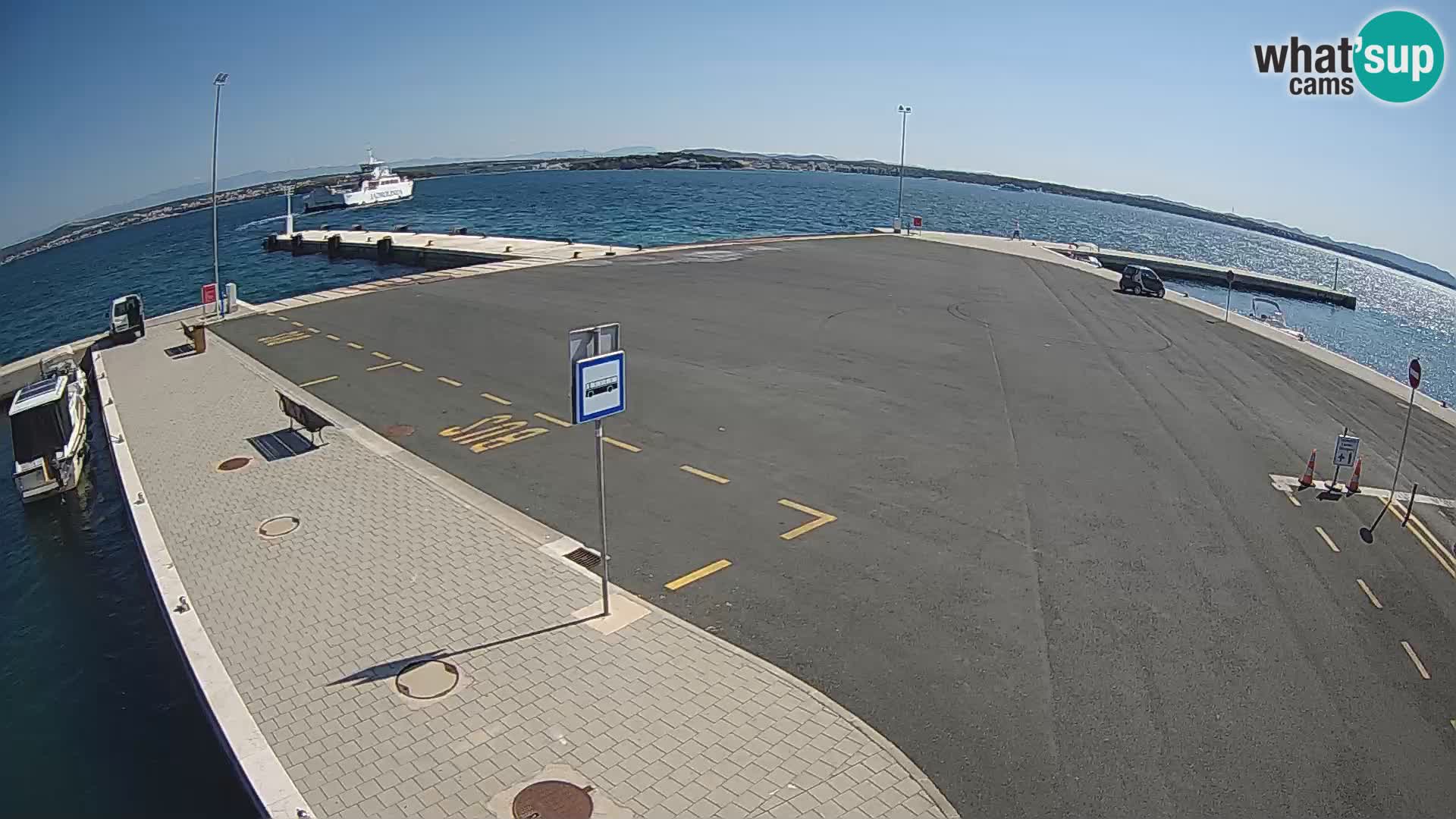 Tkon v živo – trajekt – Dalmacija – Hrvaška
