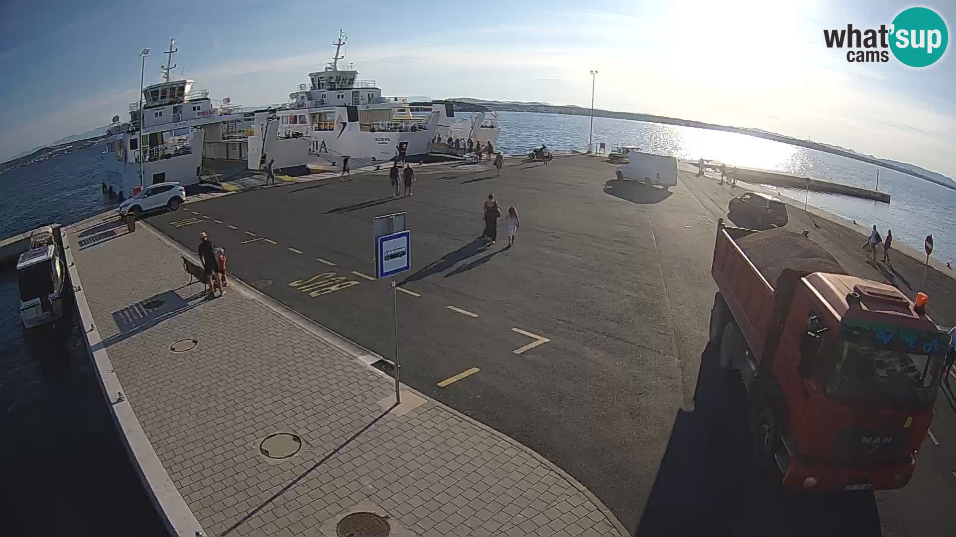 Tkon v živo – trajekt – Dalmacija – Hrvaška