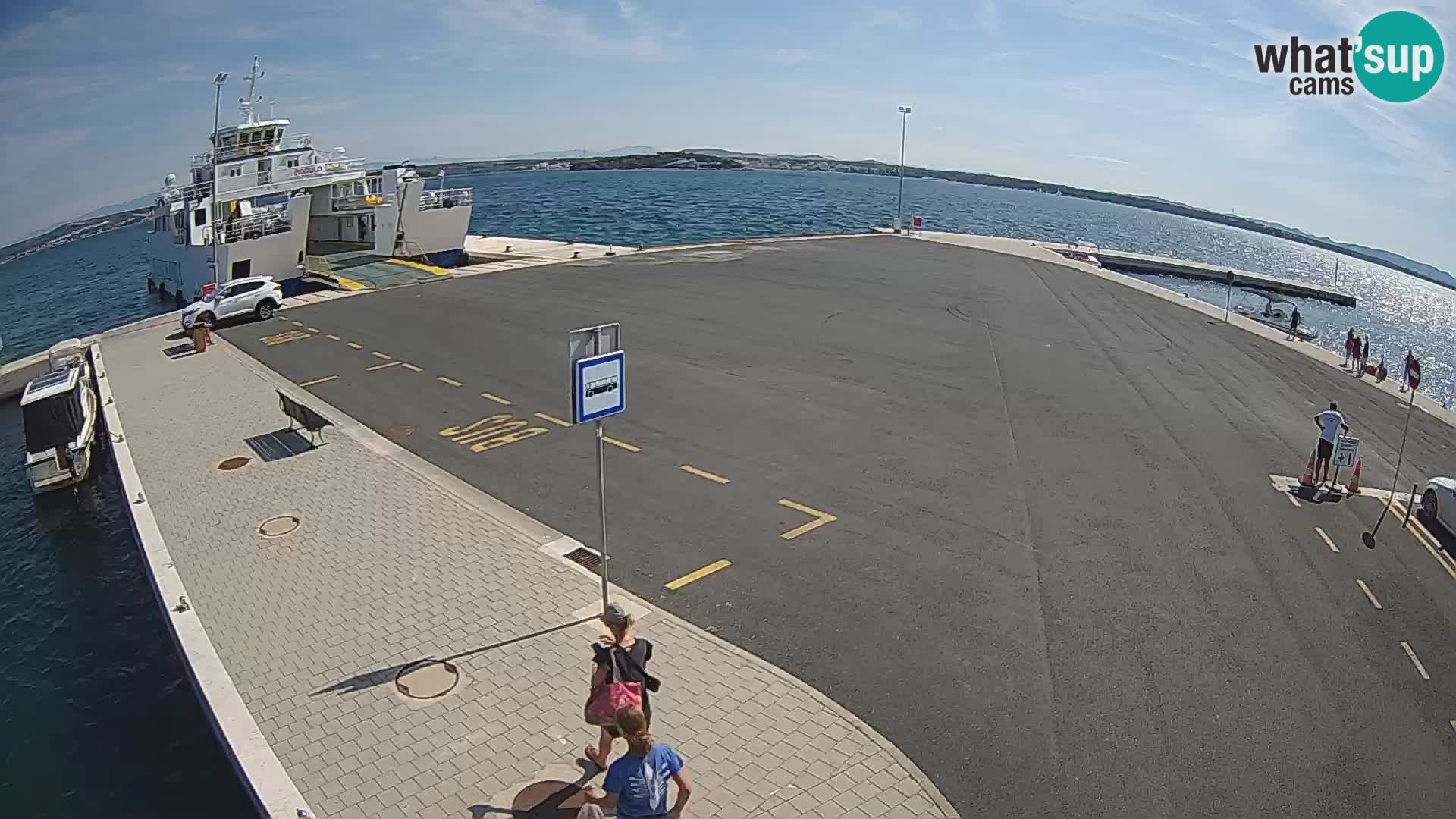 Tkon v živo – trajekt – Dalmacija – Hrvaška