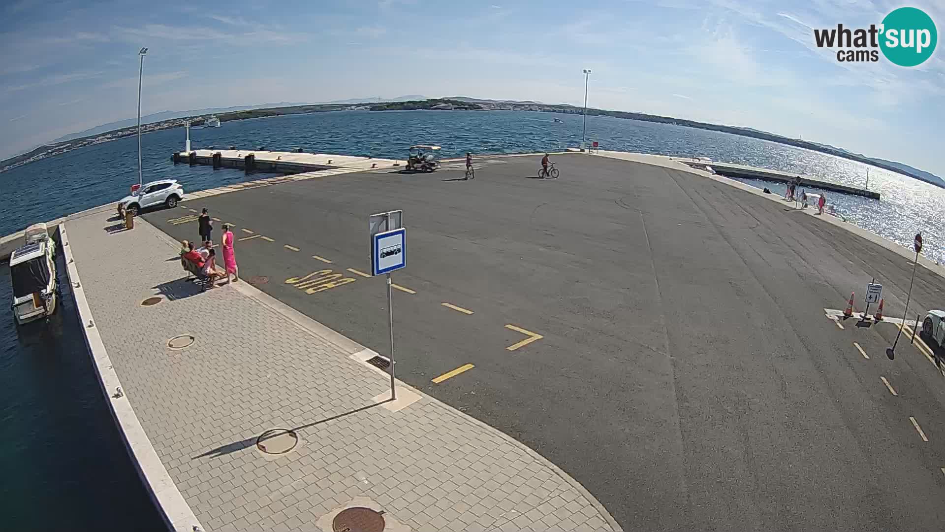 Tkon v živo – trajekt – Dalmacija – Hrvaška