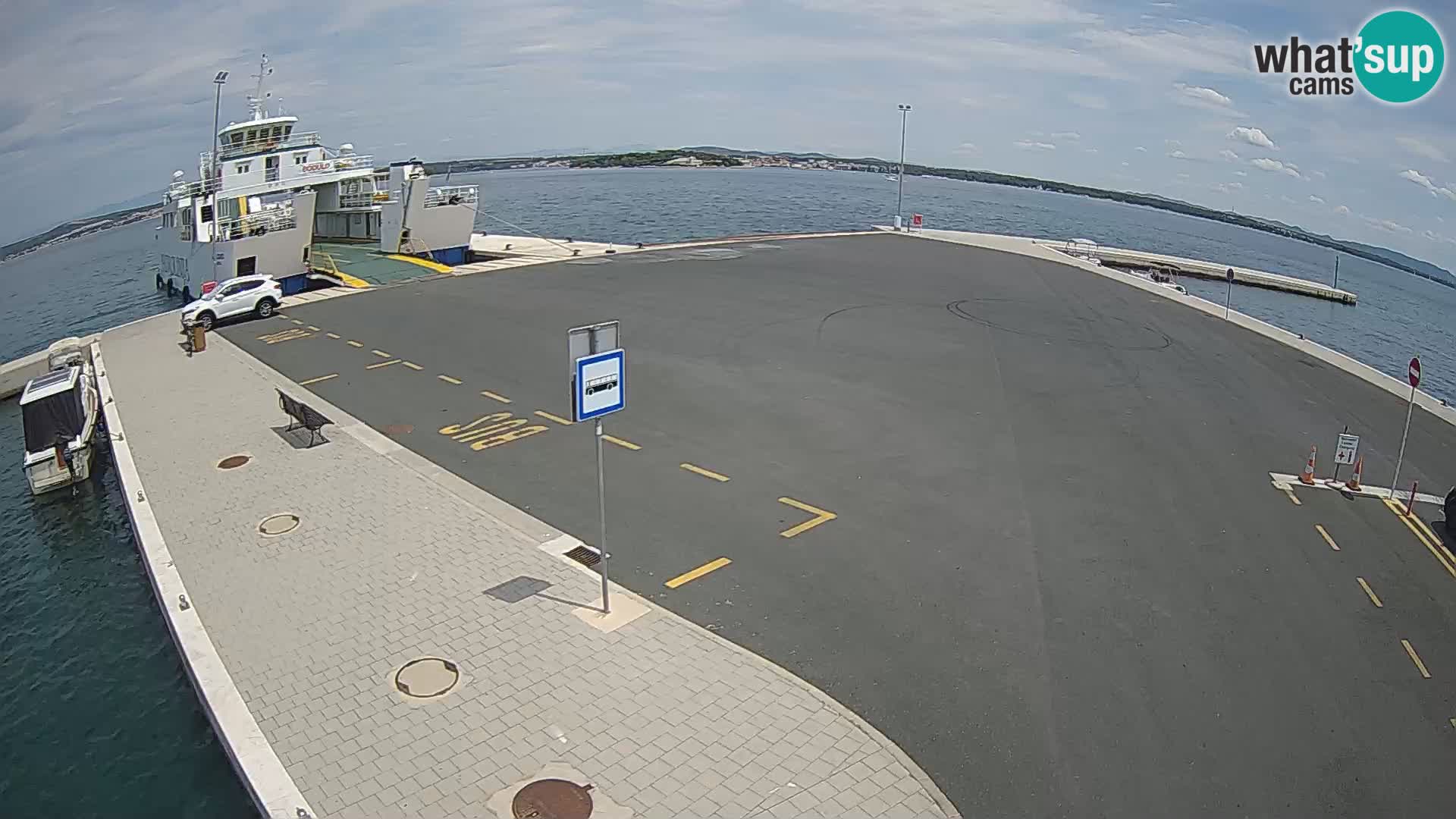 Tkon u živo – trajekt – Dalmacija