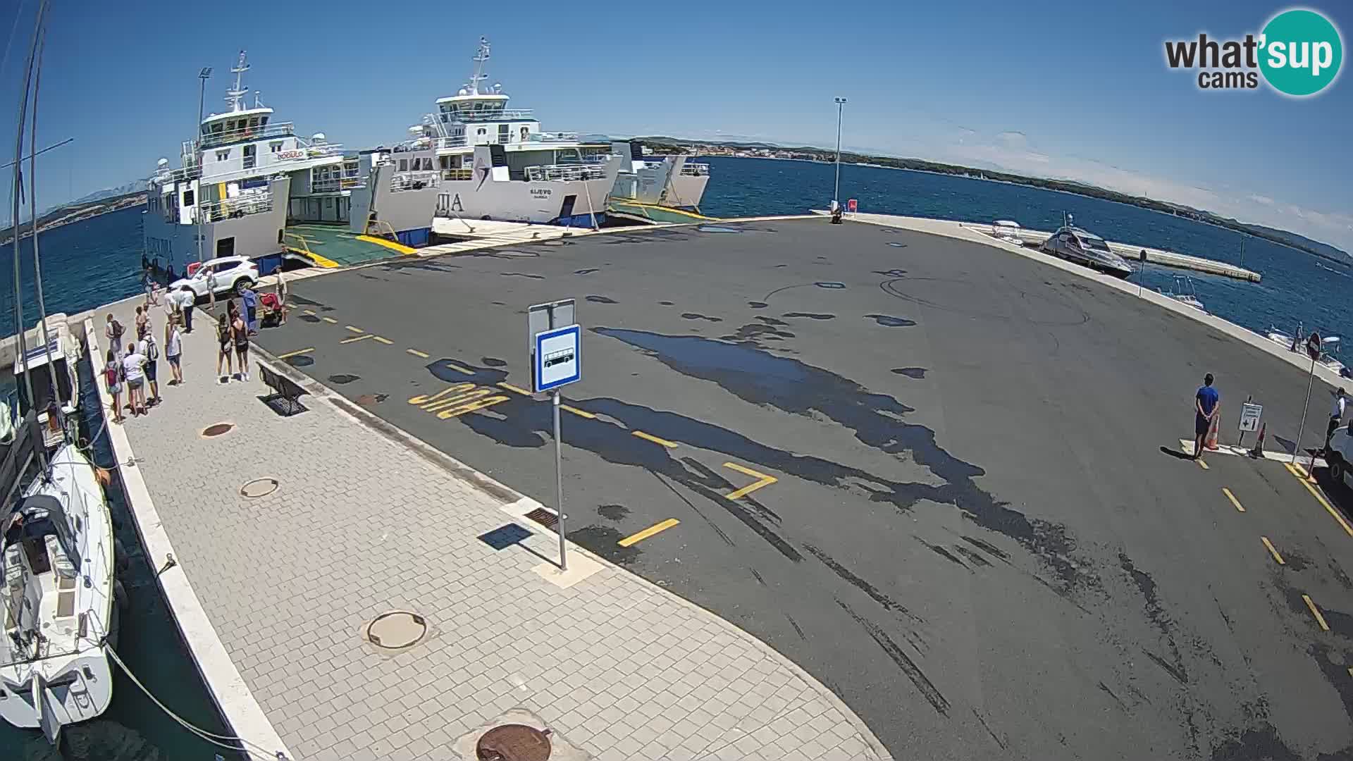 Tkon Live cam – ferry – Dalmatie – Croatie