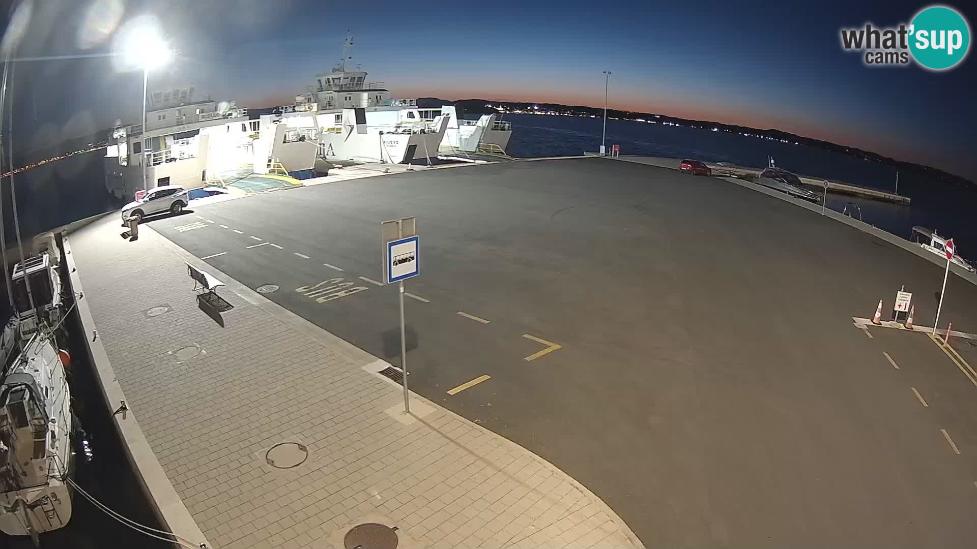 Tkon v živo – trajekt – Dalmacija – Hrvaška