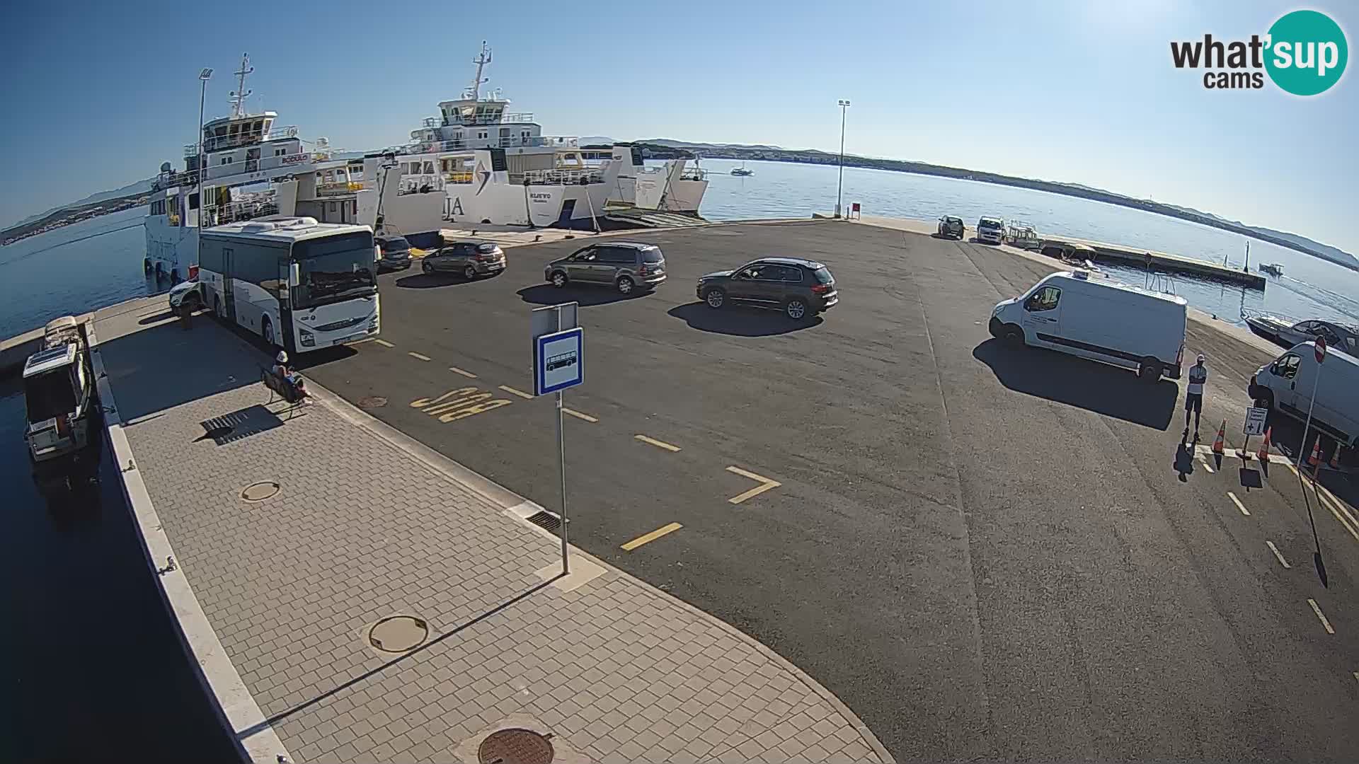 Tkon u živo – trajekt – Dalmacija