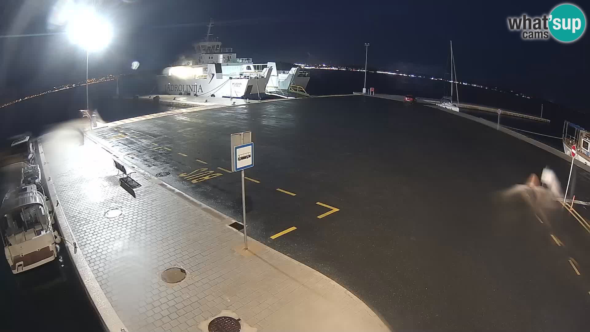 Tkon v živo – trajekt – Dalmacija – Hrvaška