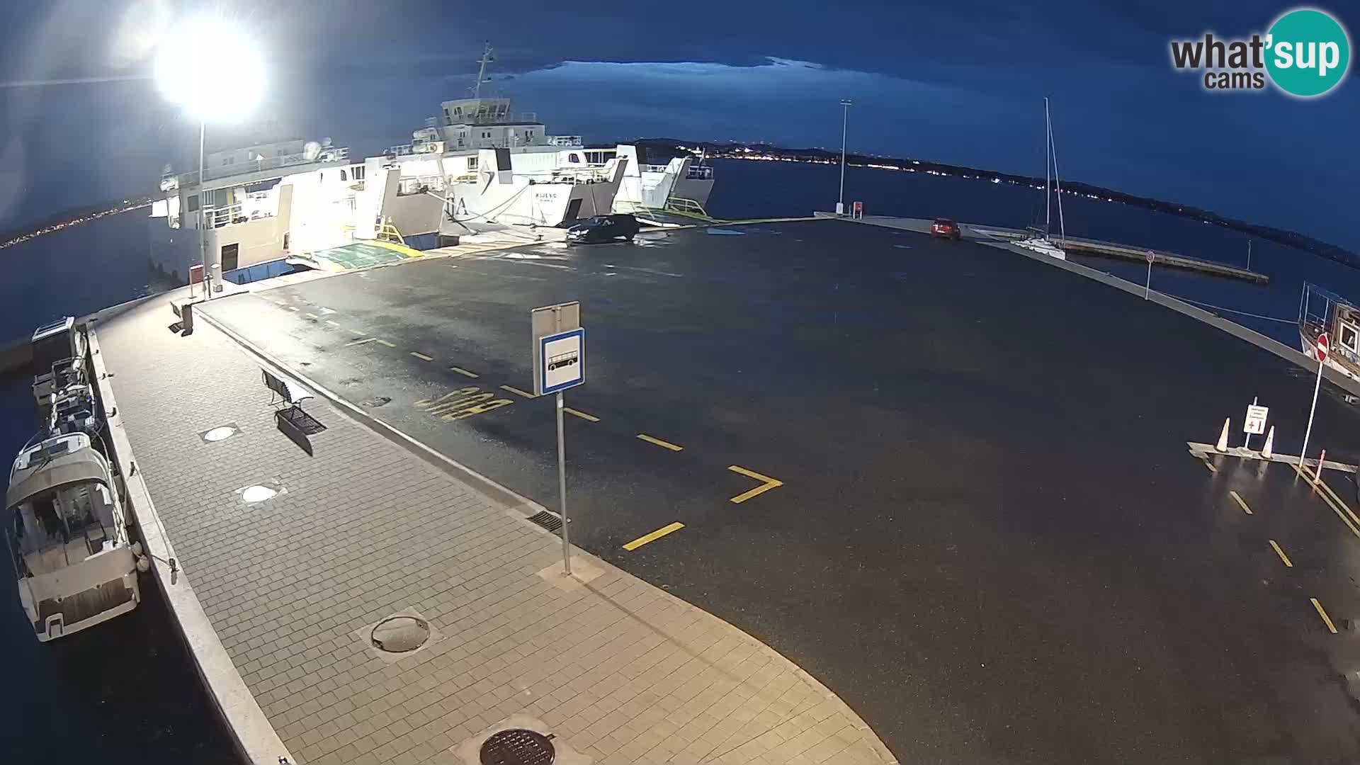 Tkon v živo – trajekt – Dalmacija – Hrvaška