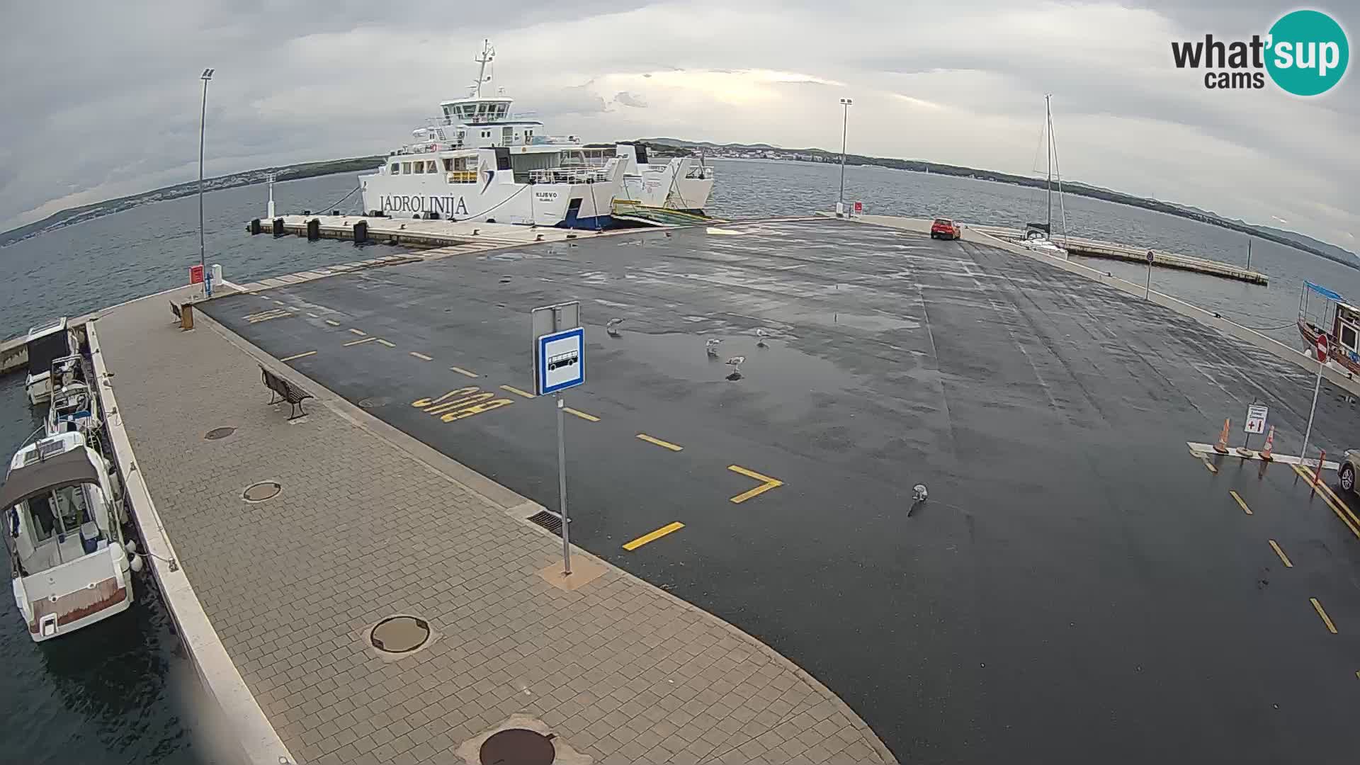 Tkon Live cam – traghetto – Dalmazia – Croazia
