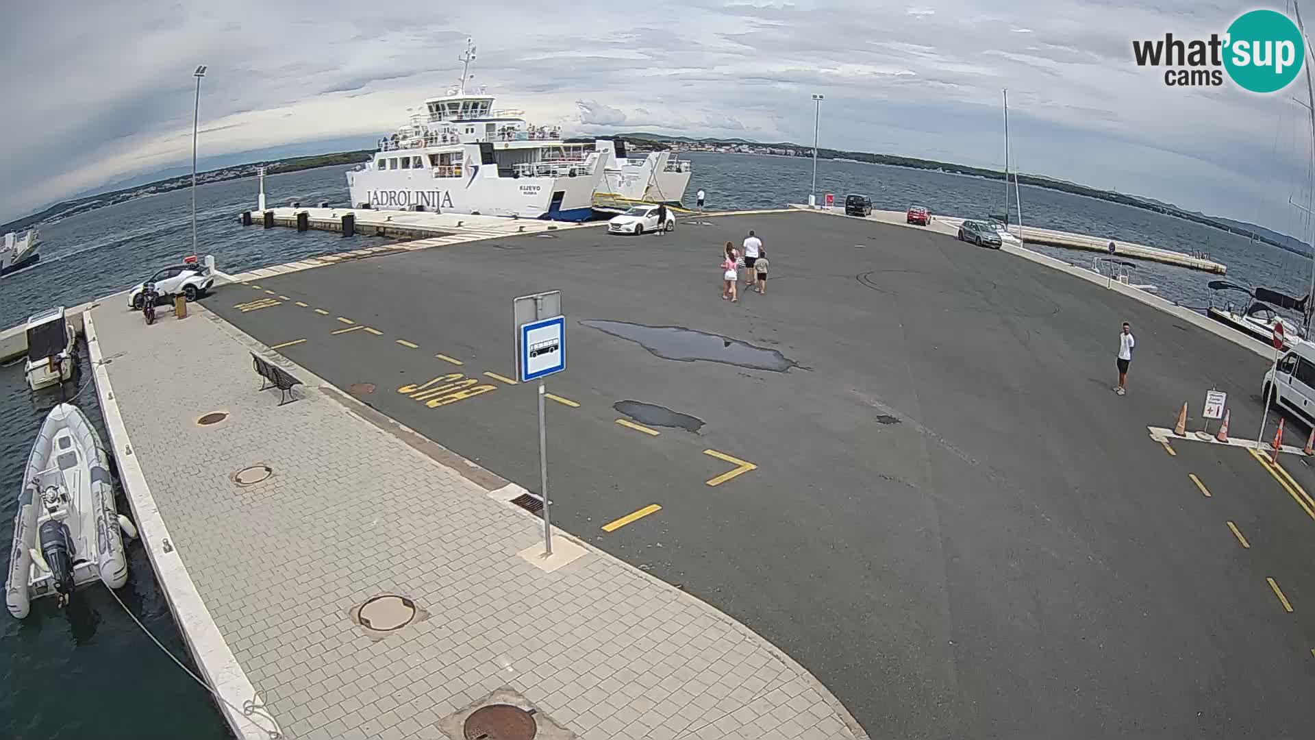 Tkon v živo – trajekt – Dalmacija – Hrvaška