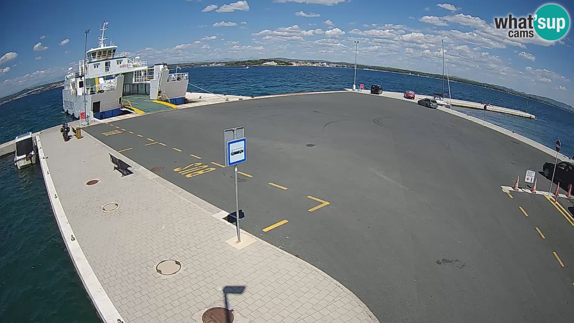Tkon v živo – trajekt – Dalmacija – Hrvaška