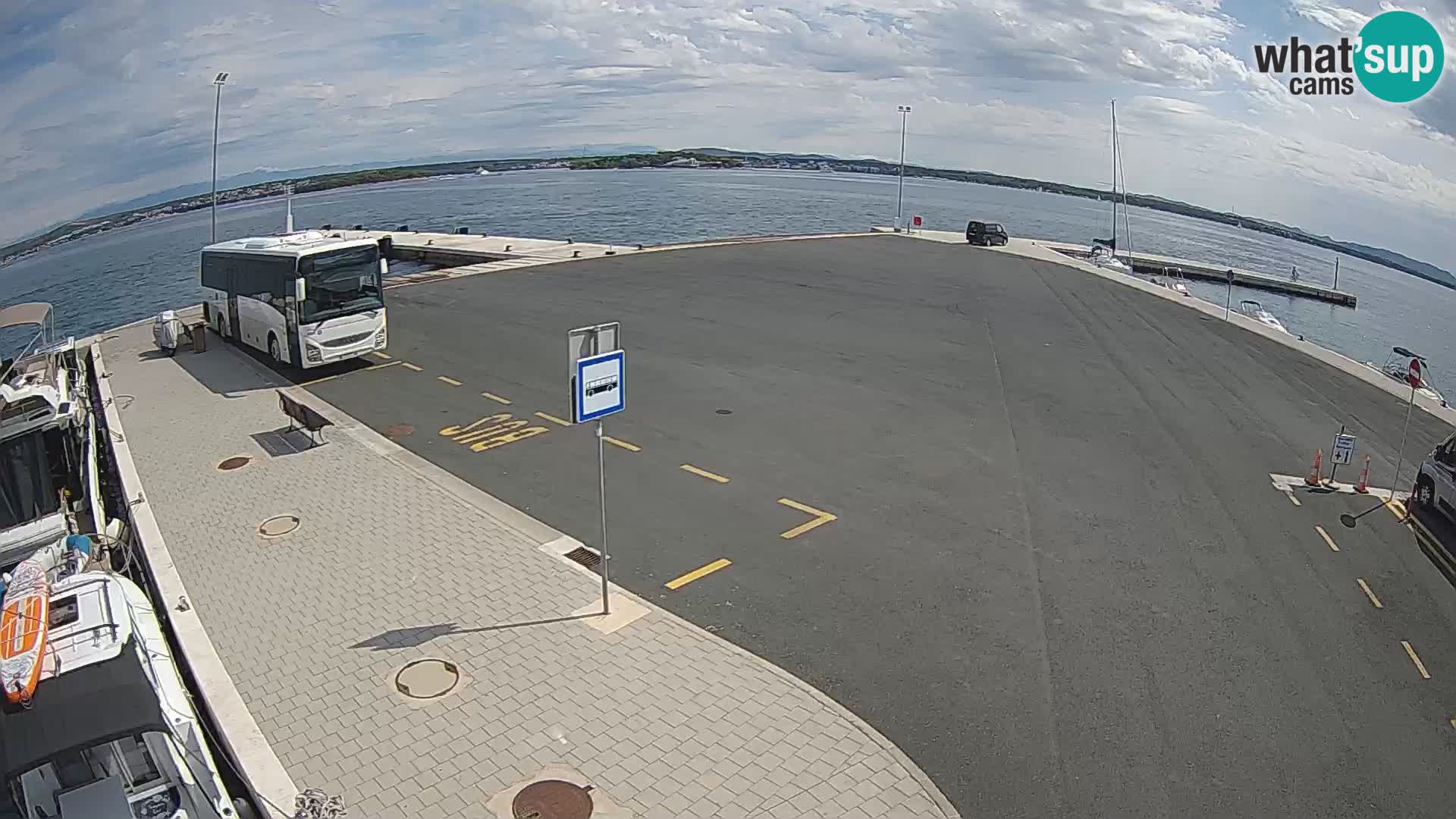 Tkon camera en vivo – Transportar – Dalmacia – Croacia