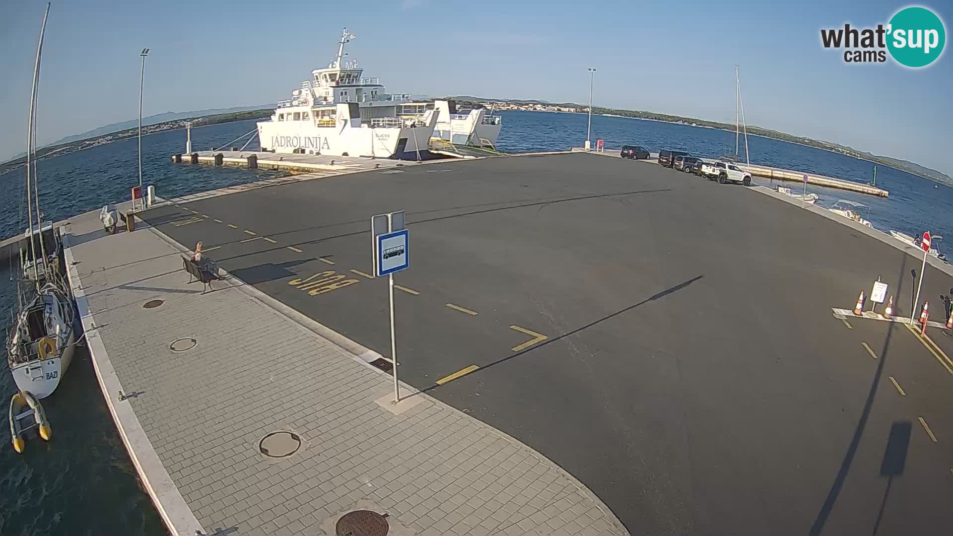 Tkon v živo – trajekt – Dalmacija – Hrvaška