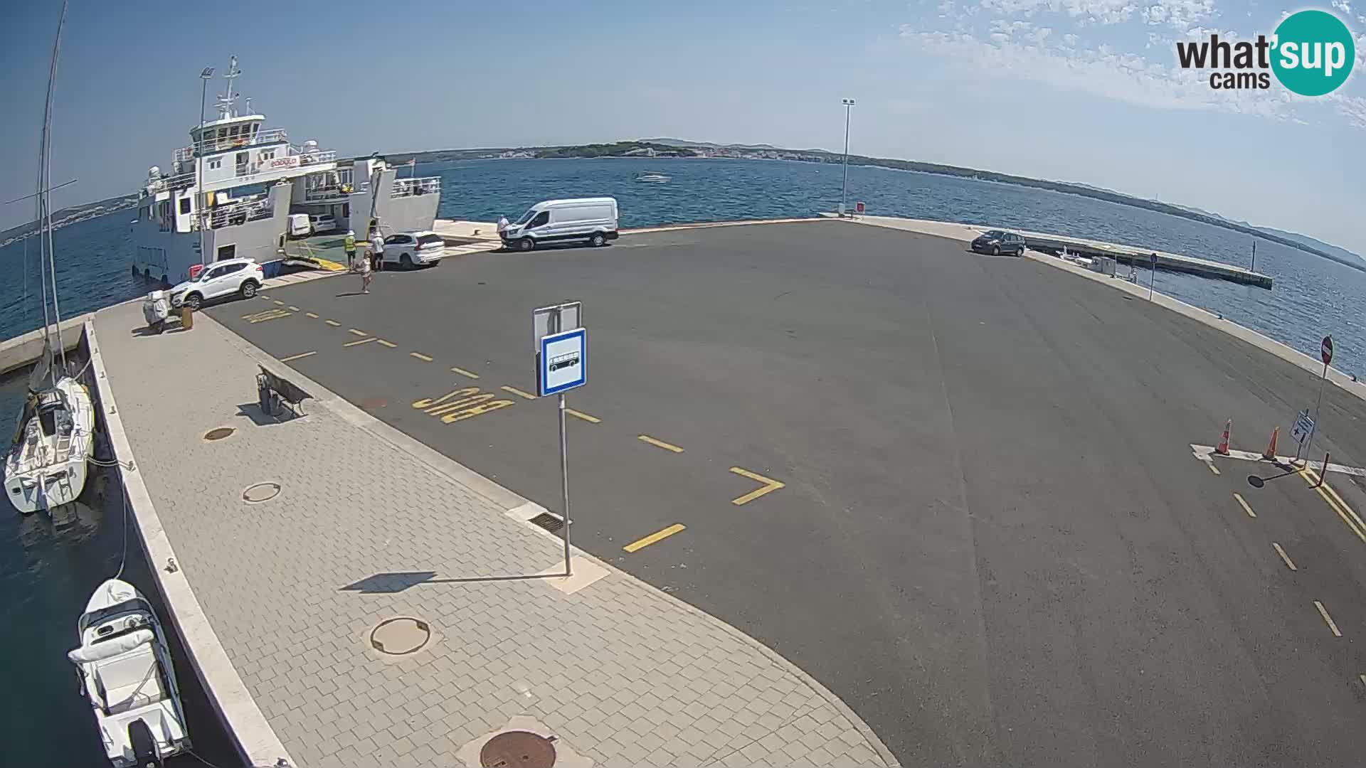 Tkon v živo – trajekt – Dalmacija – Hrvaška