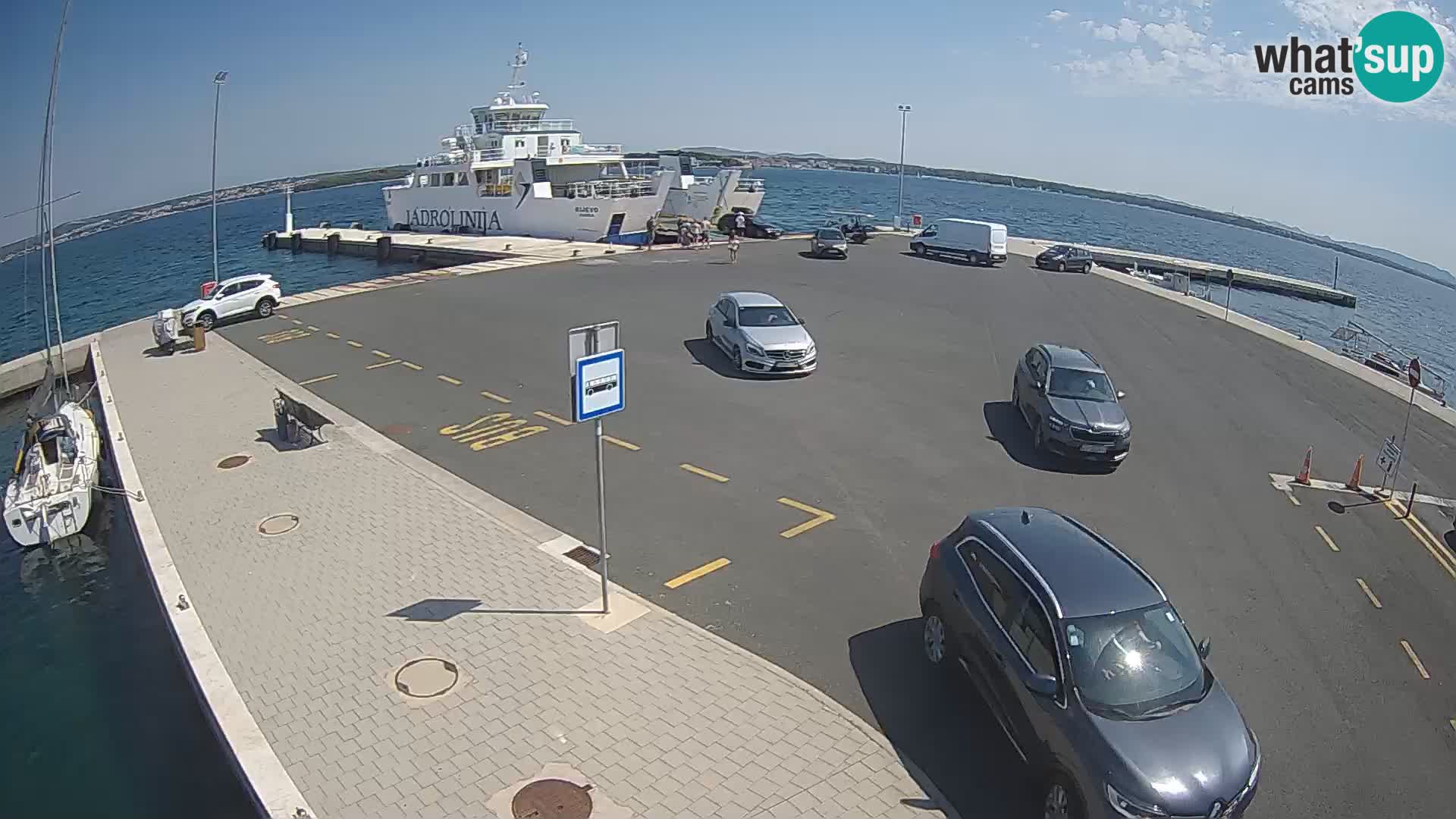 Tkon u živo – trajekt – Dalmacija