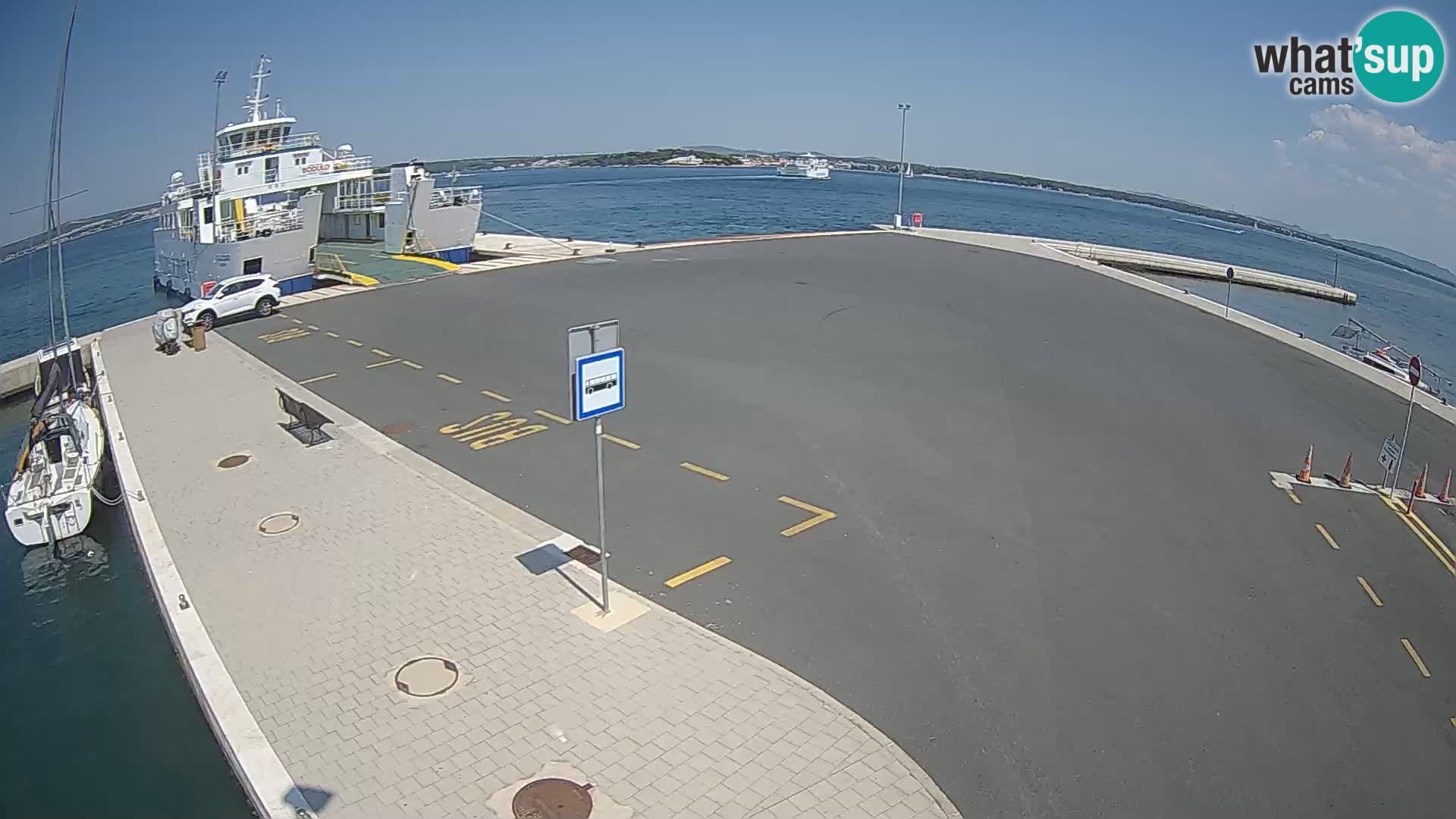 Tkon v živo – trajekt – Dalmacija – Hrvaška