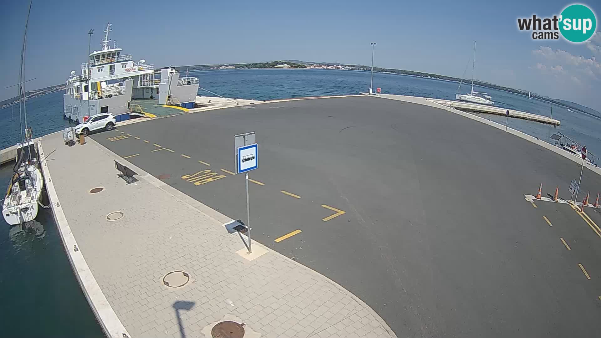 Tkon v živo – trajekt – Dalmacija – Hrvaška