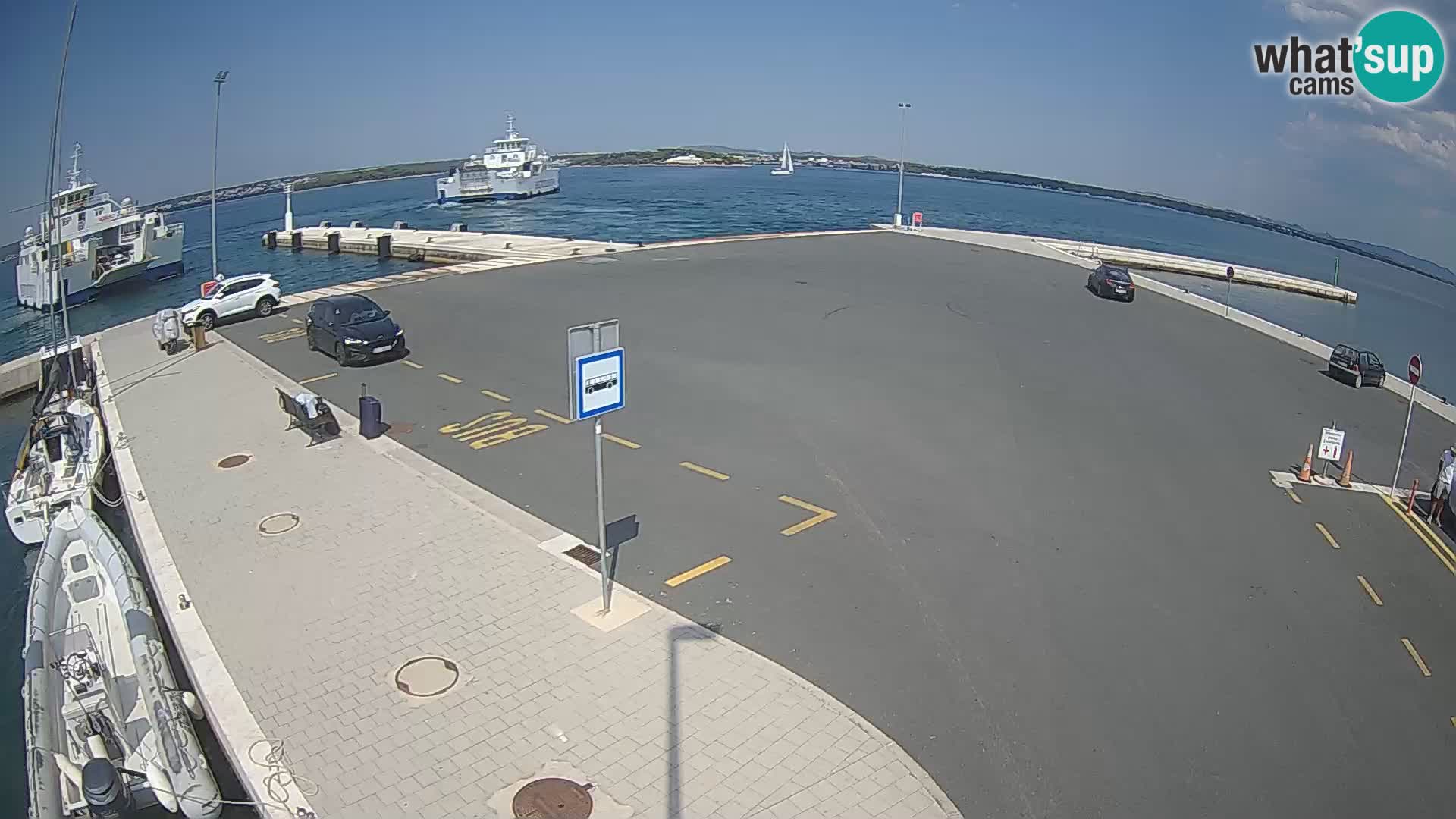 Tkon u živo – trajekt – Dalmacija