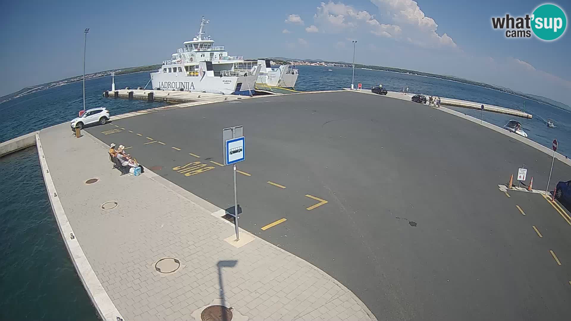 Tkon v živo – trajekt – Dalmacija – Hrvaška