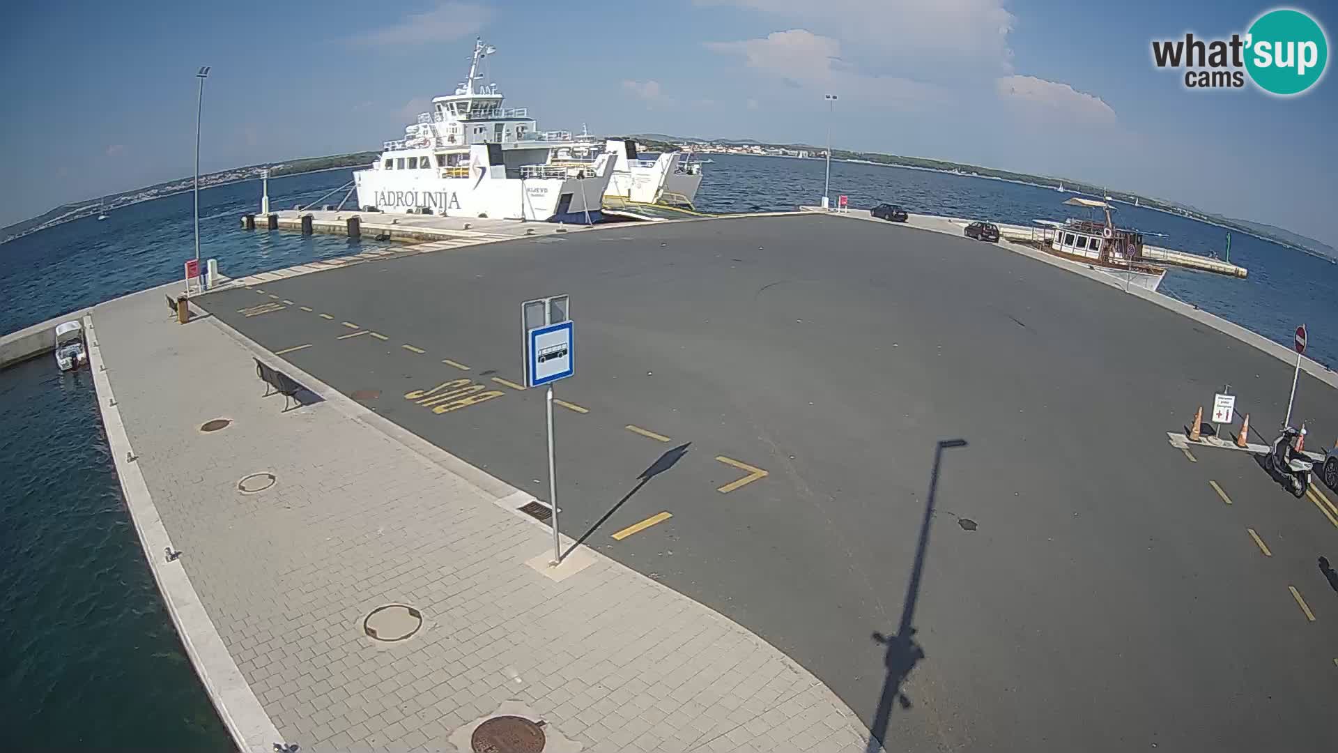 Tkon v živo – trajekt – Dalmacija – Hrvaška