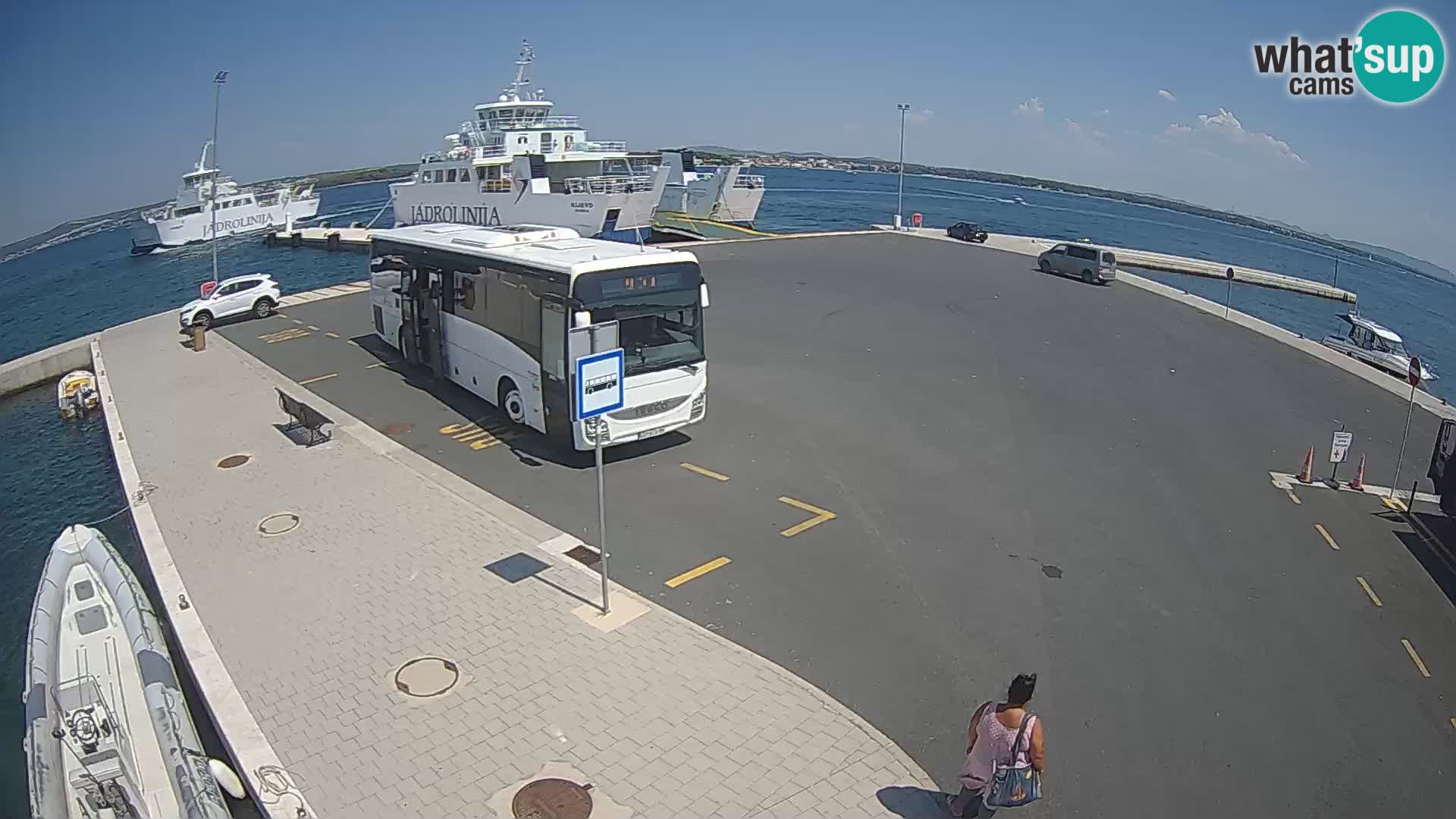 Tkon Live cam – ferry – Dalmatie – Croatie