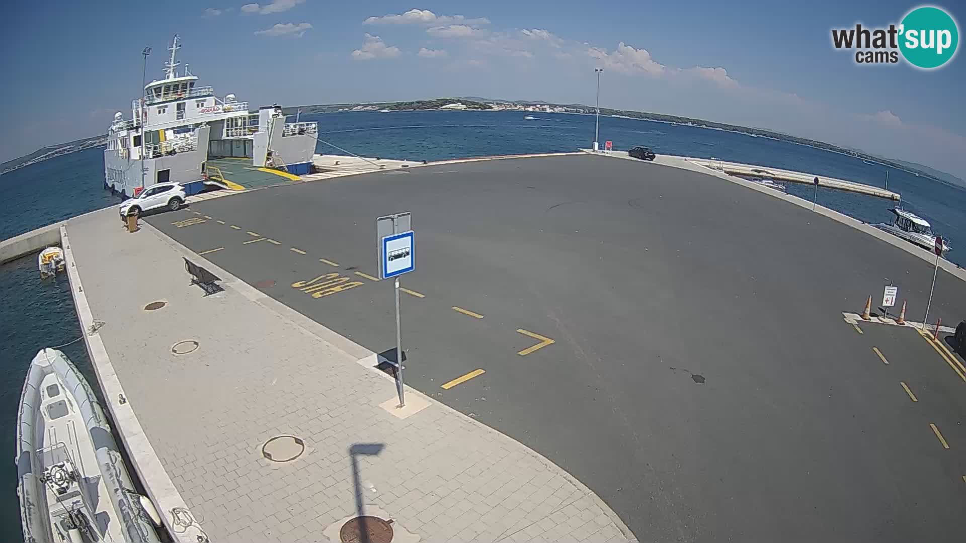 Tkon v živo – trajekt – Dalmacija – Hrvaška
