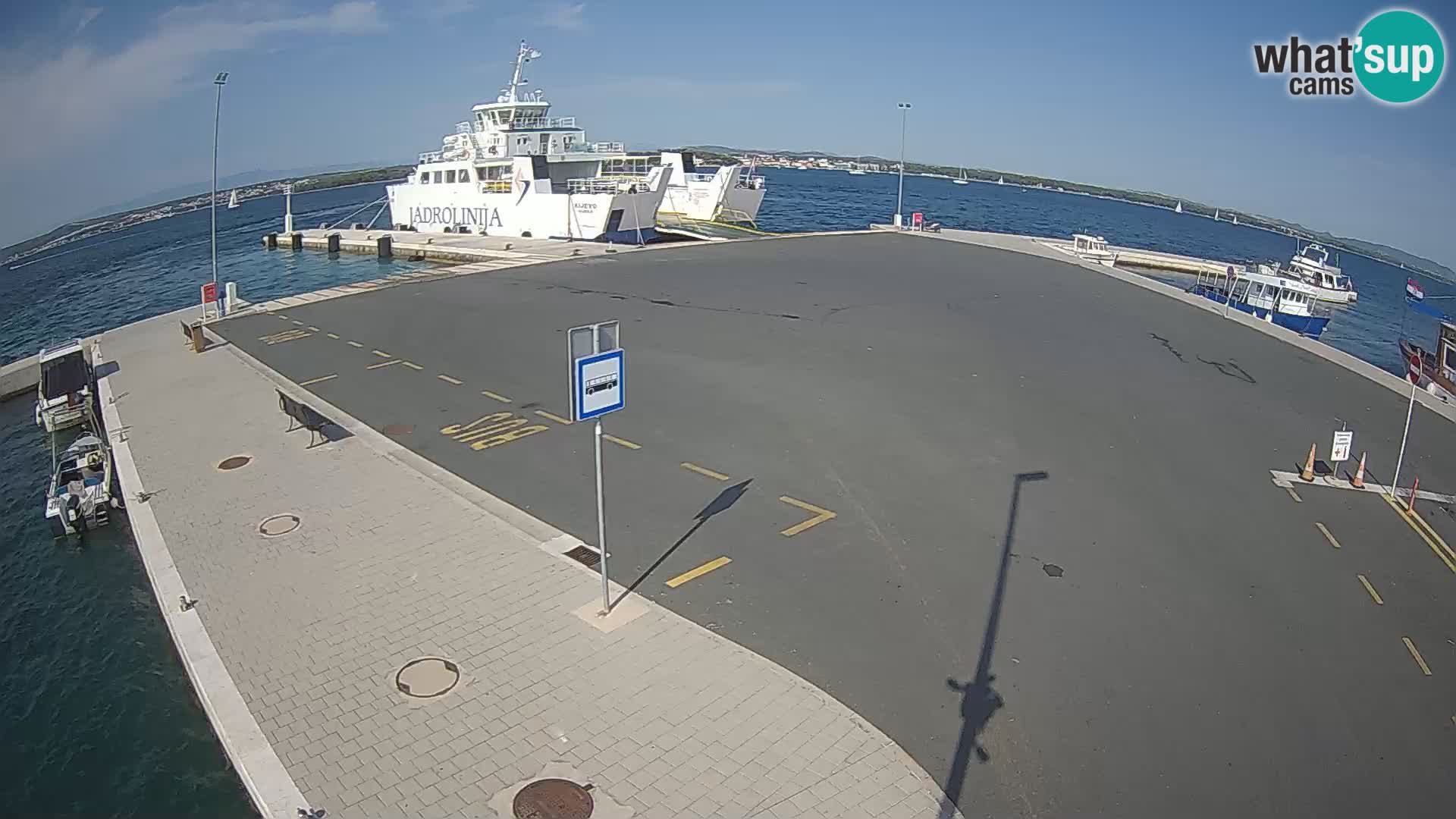 Tkon u živo – trajekt – Dalmacija