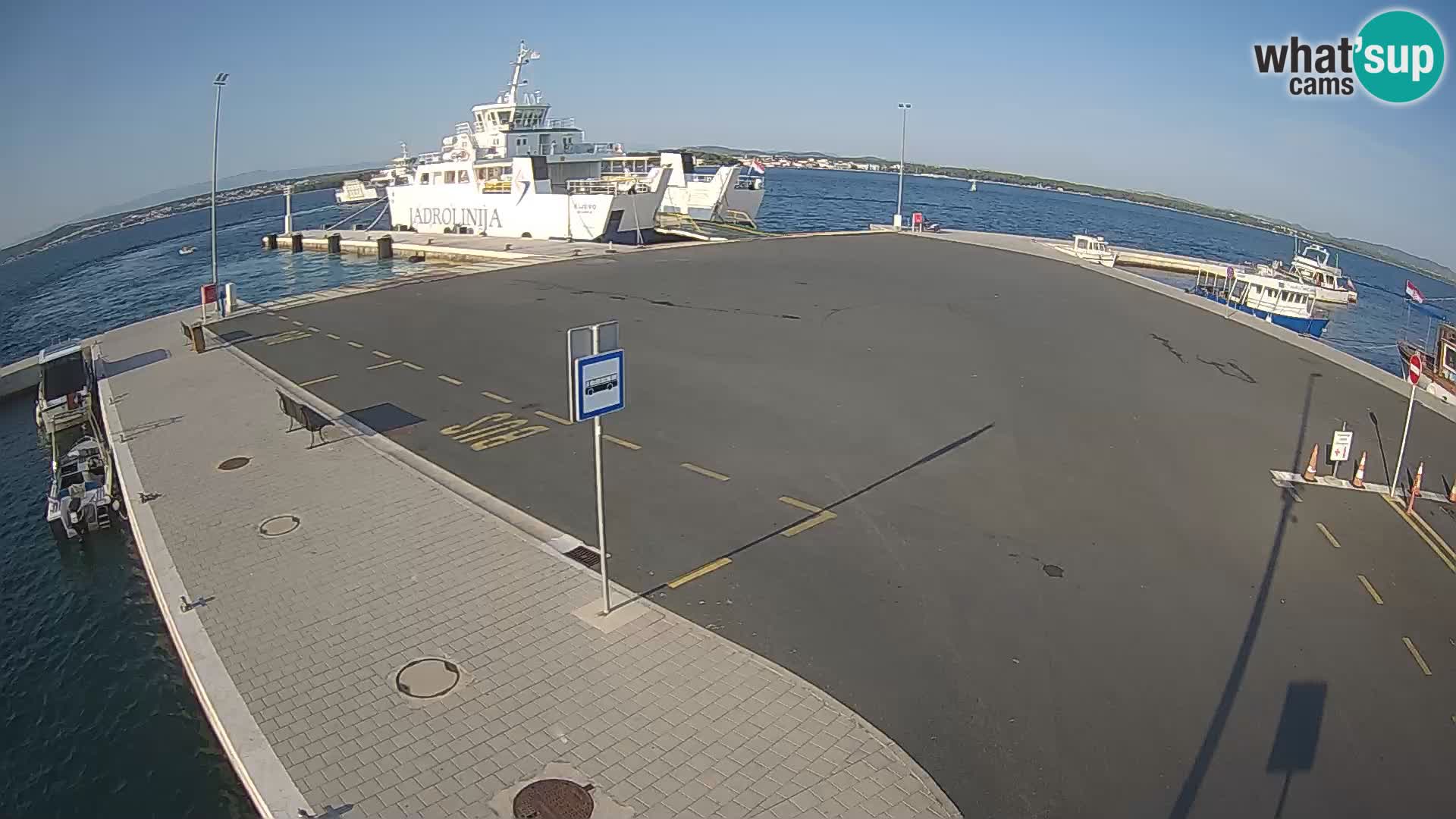 Tkon u živo – trajekt – Dalmacija