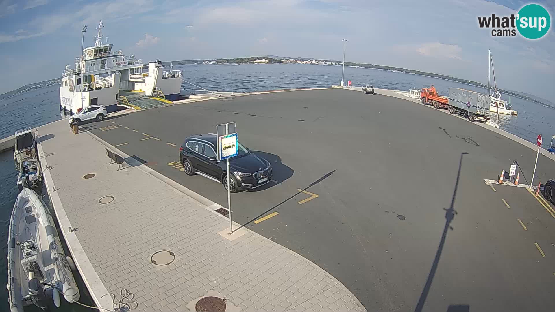 Tkon v živo – trajekt – Dalmacija – Hrvaška