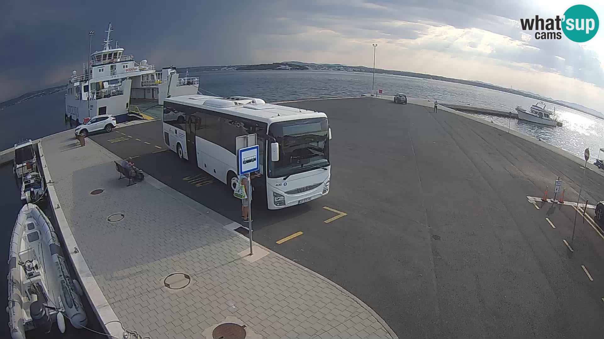 Tkon camera en vivo – Transportar – Dalmacia – Croacia