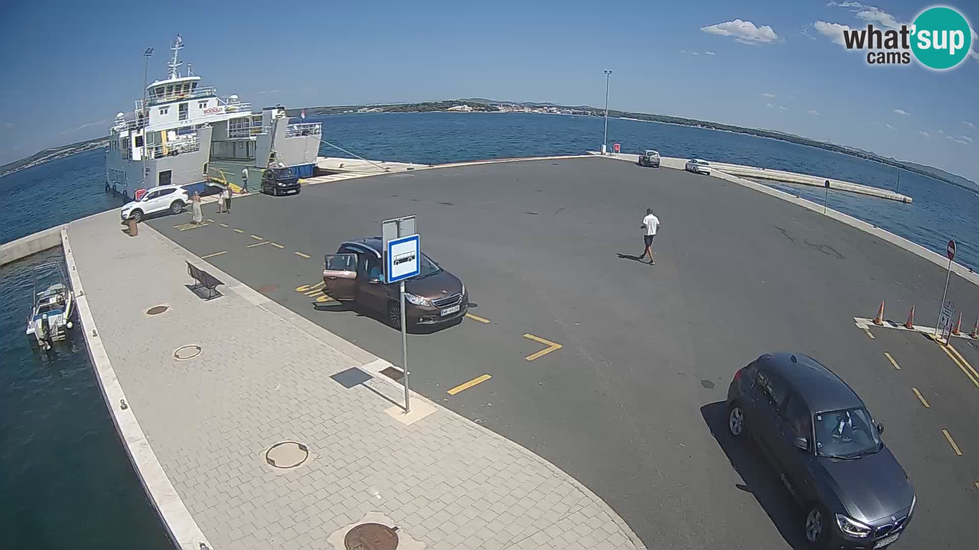 Tkon camera en vivo – Transportar – Dalmacia – Croacia